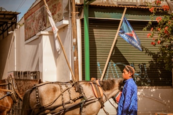 A person in a blue outfit stands beside a harnessed horse. The background includes a corrugated metal door with a graffiti tag and a flag displaying a political party's logo. Overhead, there are signs and banners with text in a foreign language. Red flowers and green foliage partially cover the storefront.