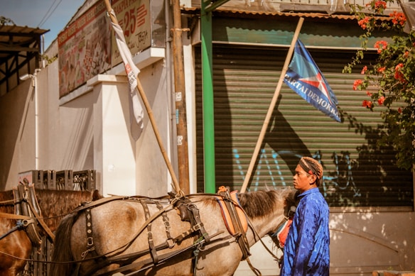 A person in a blue outfit stands beside a harnessed horse. The background includes a corrugated metal door with a graffiti tag and a flag displaying a political party's logo. Overhead, there are signs and banners with text in a foreign language. Red flowers and green foliage partially cover the storefront.