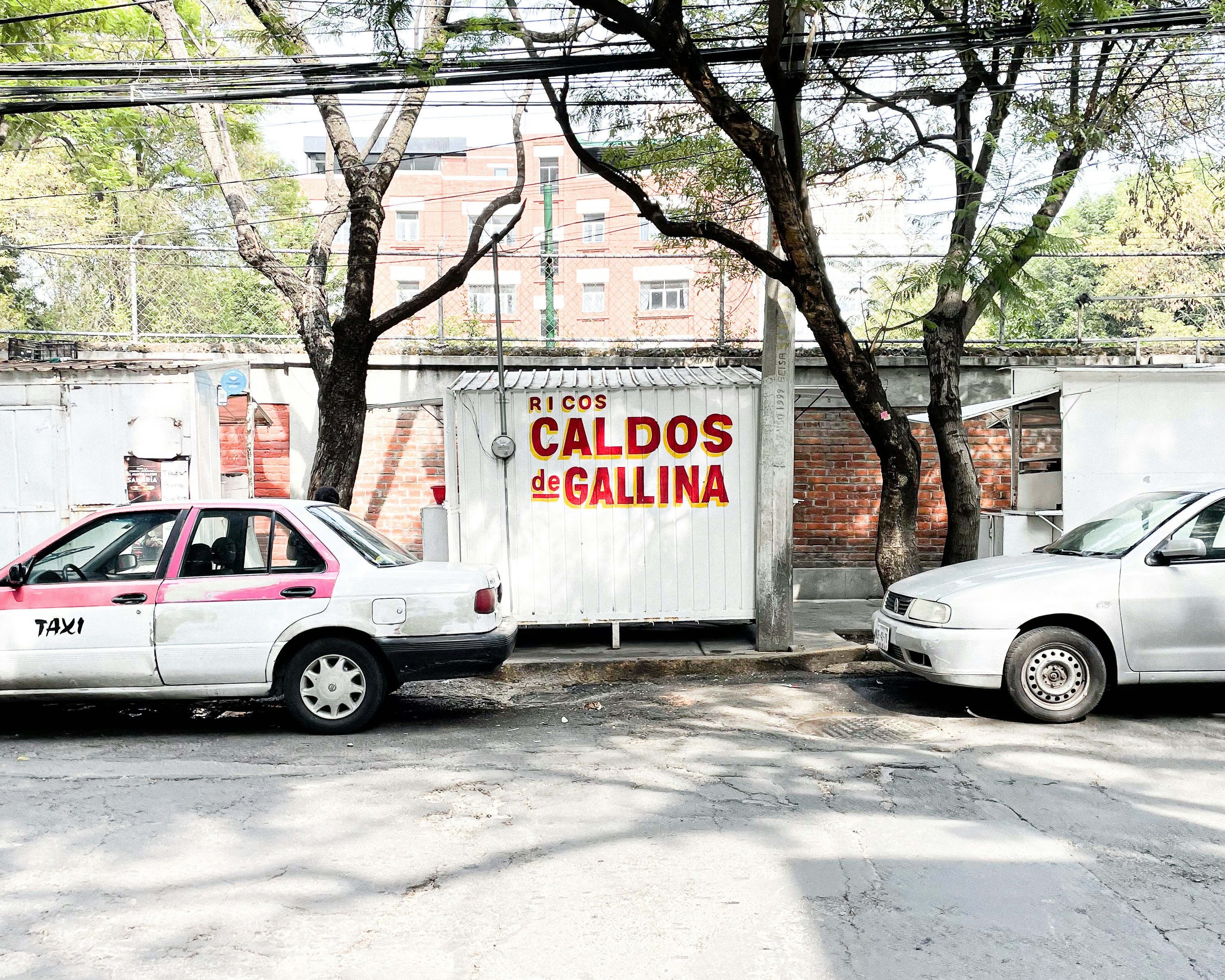 Ricos Caldos de Gallina