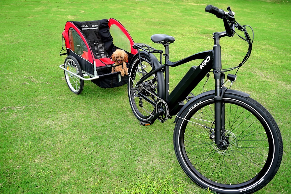 Bicicleta negra y roja en campo de hierba verde durante el día