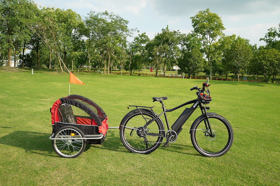 black and red bicycle on green grass field during daytime