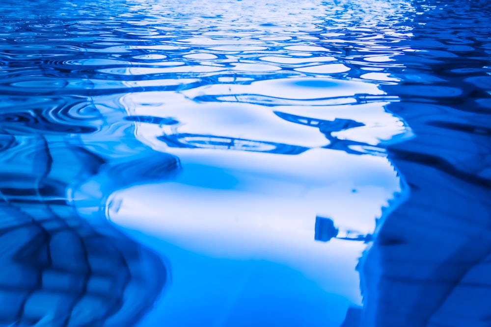 person in blue swimming trunks in water