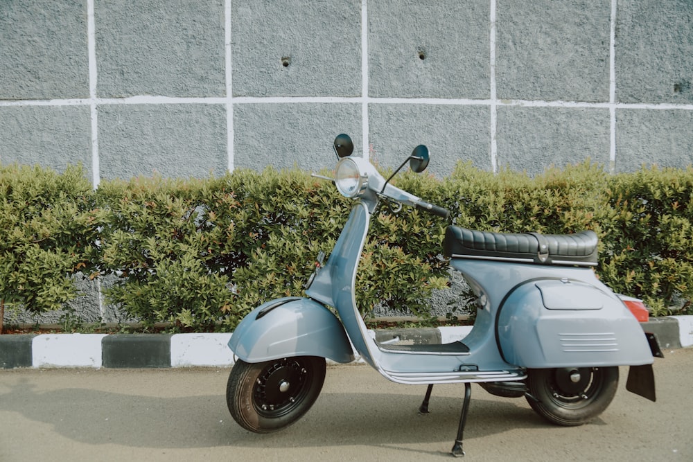 blue motor scooter parked beside green plant