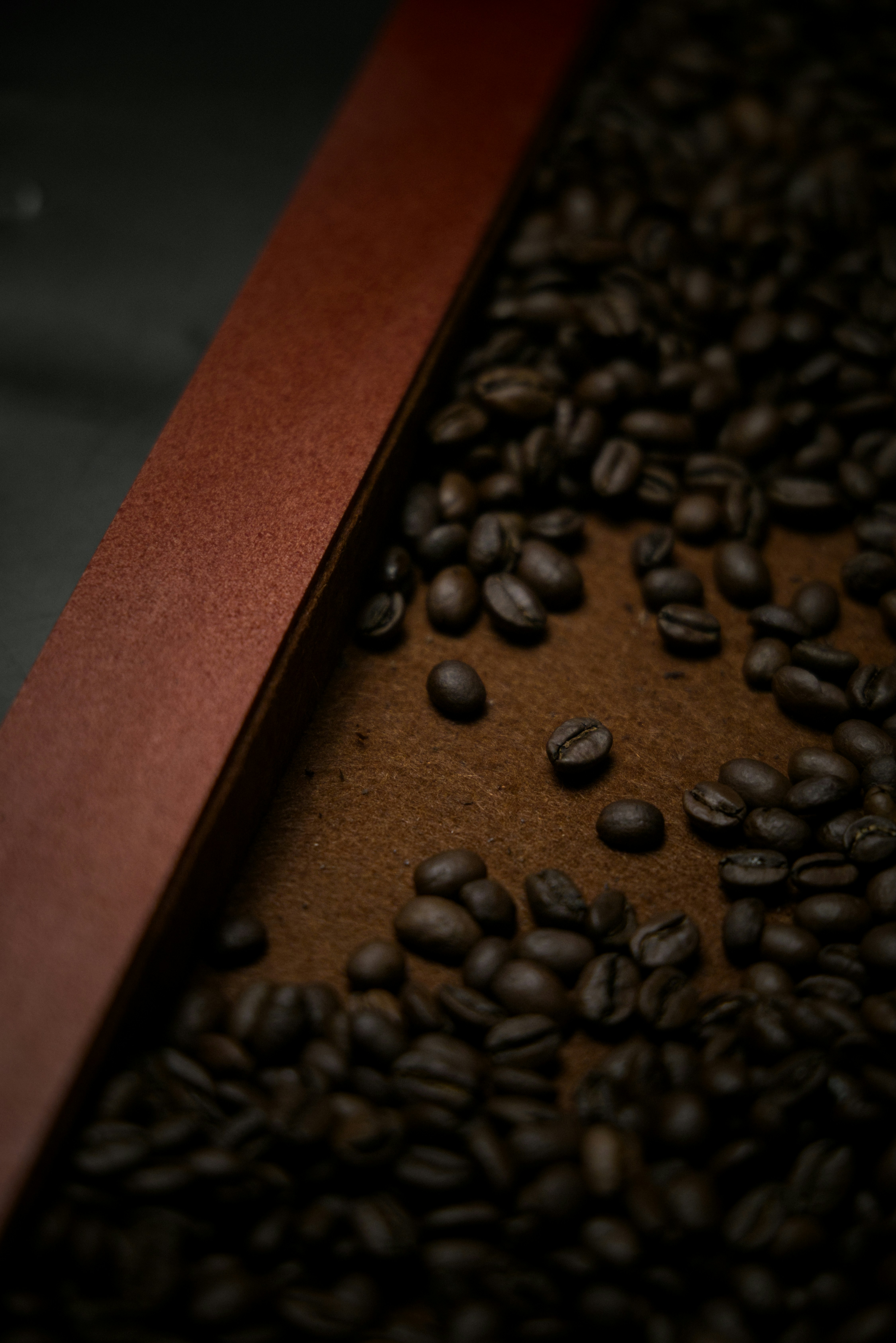 Photo by ldpeterson11