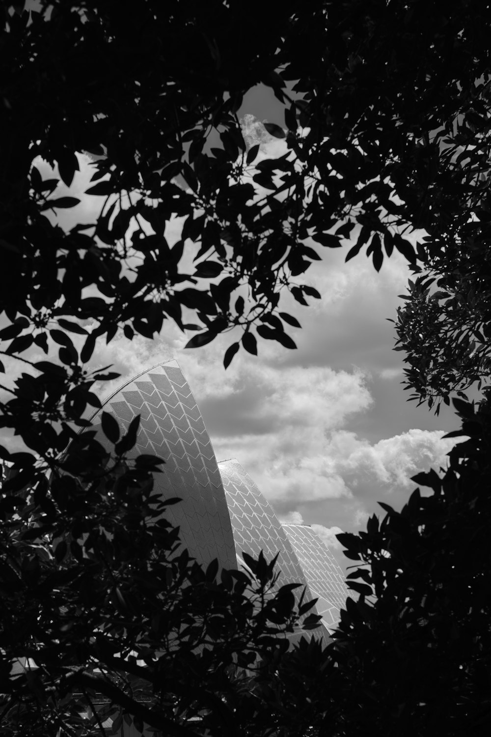 grayscale photo of trees near building