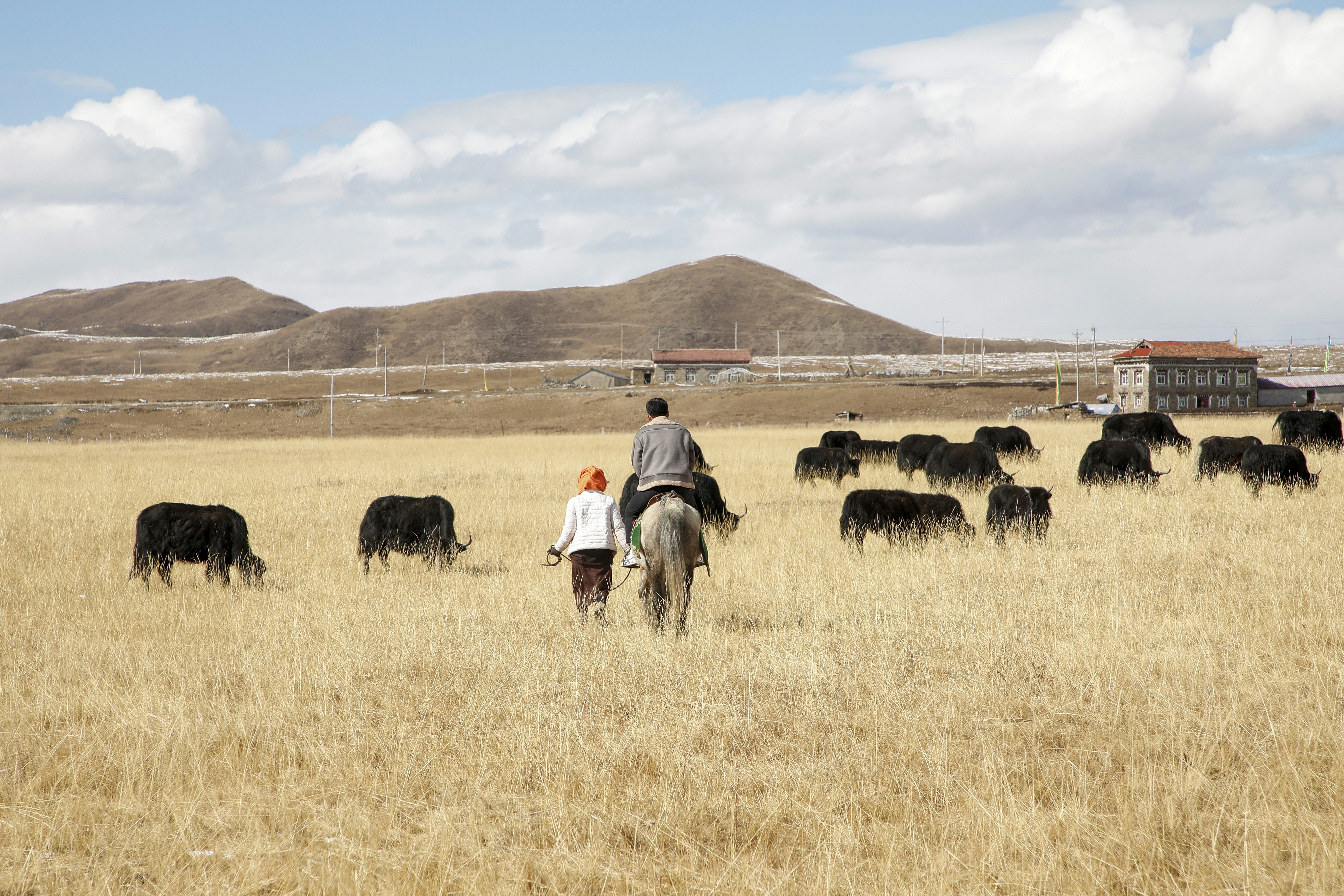 Photo by mw960367054