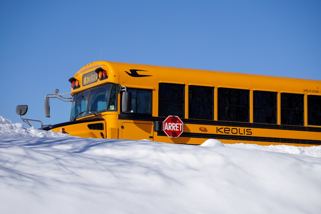 yellow school bus on snow covered ground during daytime