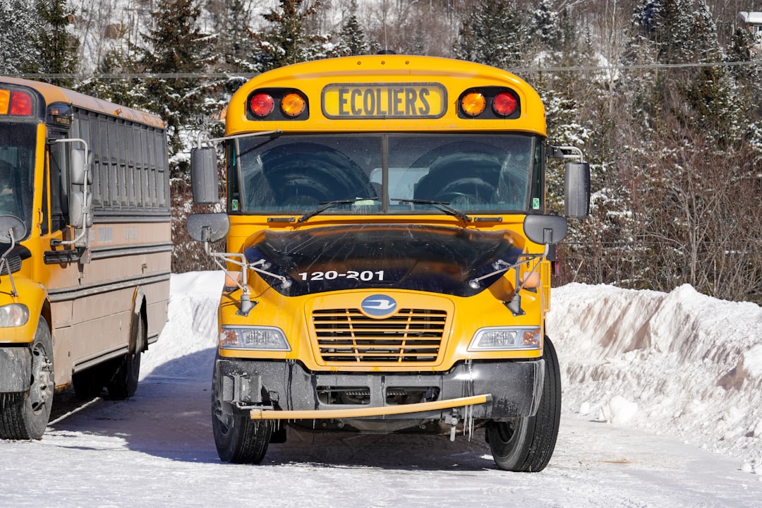 yellow school bus on snow covered ground during daytime