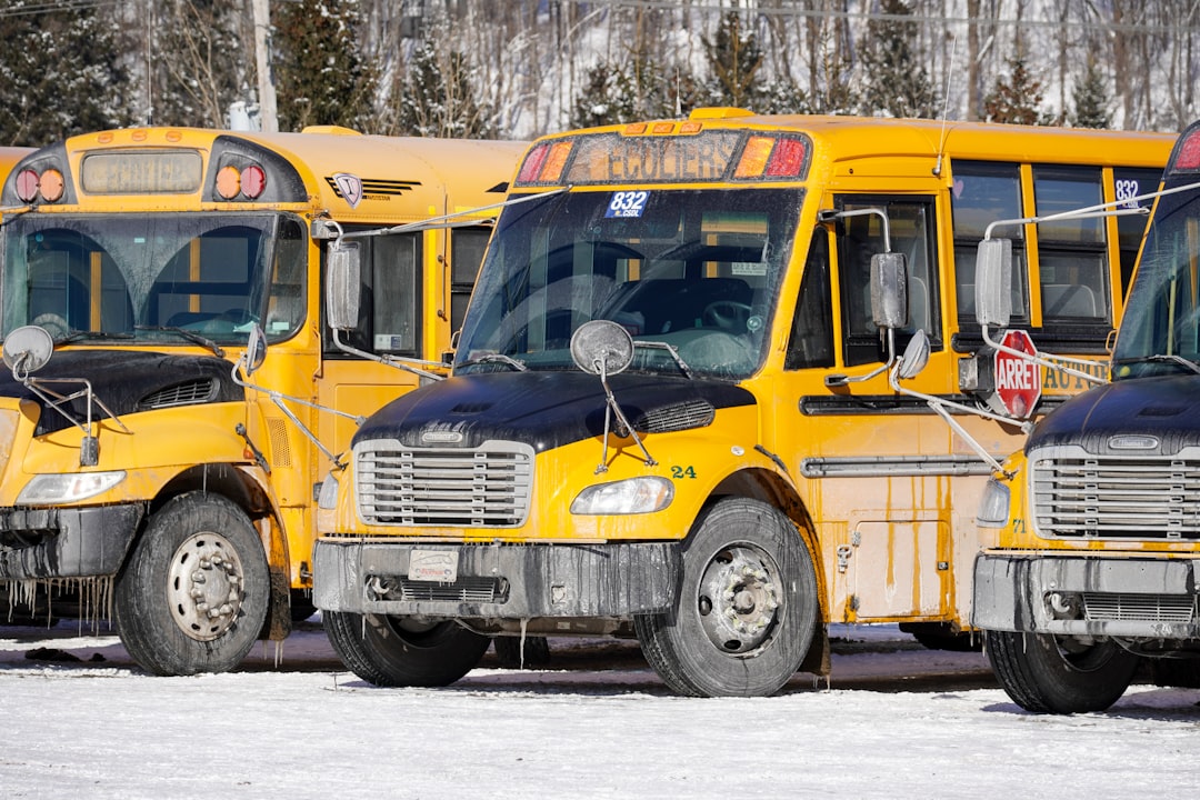 yellow school bus on snow covered ground during daytime