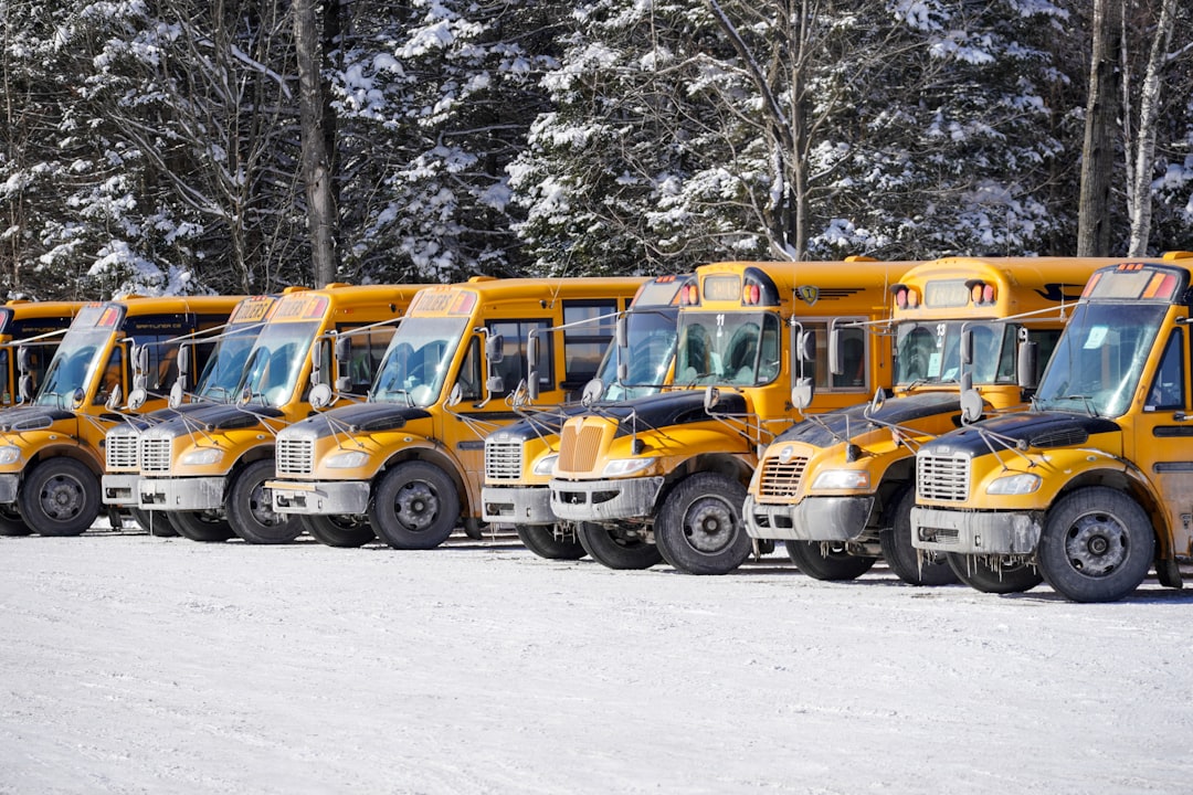yellow school bus on snow covered road during daytime