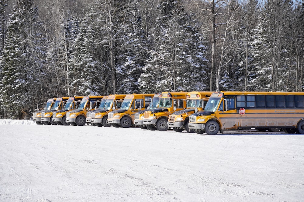 school bus on snow covered ground during daytime