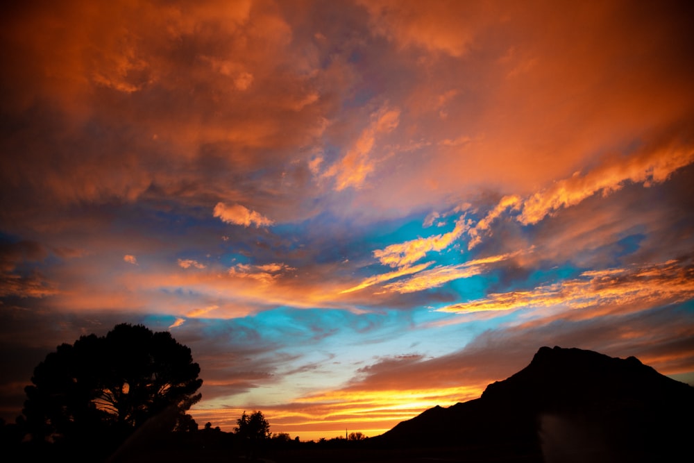 silhouette of trees under cloudy sky during sunset