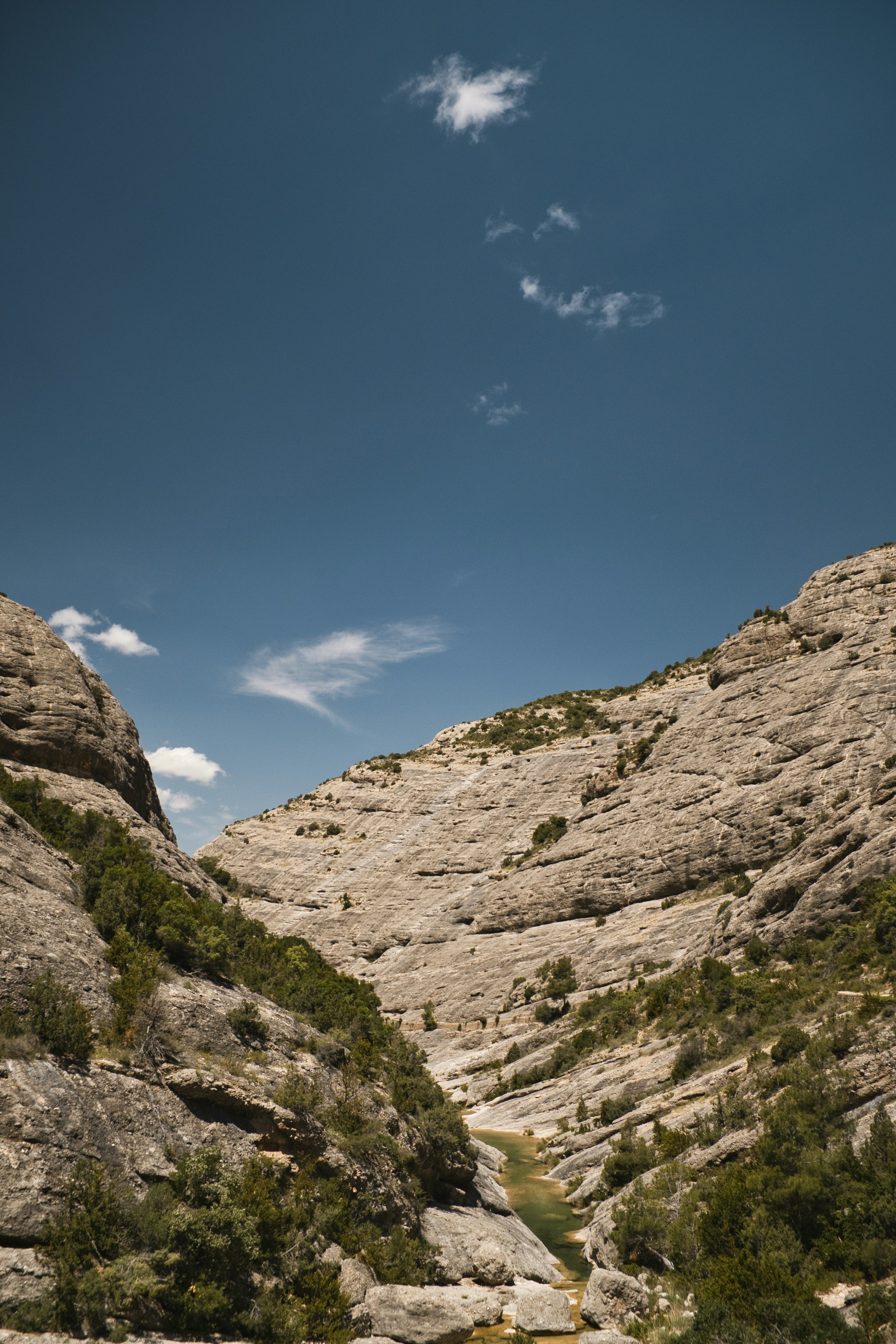 Photo by aleksandar_akr