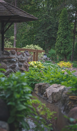 The image portrays a lush garden scene with an abundance of greenery and a small wooden canopy structure. A stone wall borders a path lined with vibrant plants, shrubs, and small trees. The background is dense with tall trees and leafy vegetation, creating a serene and natural setting.