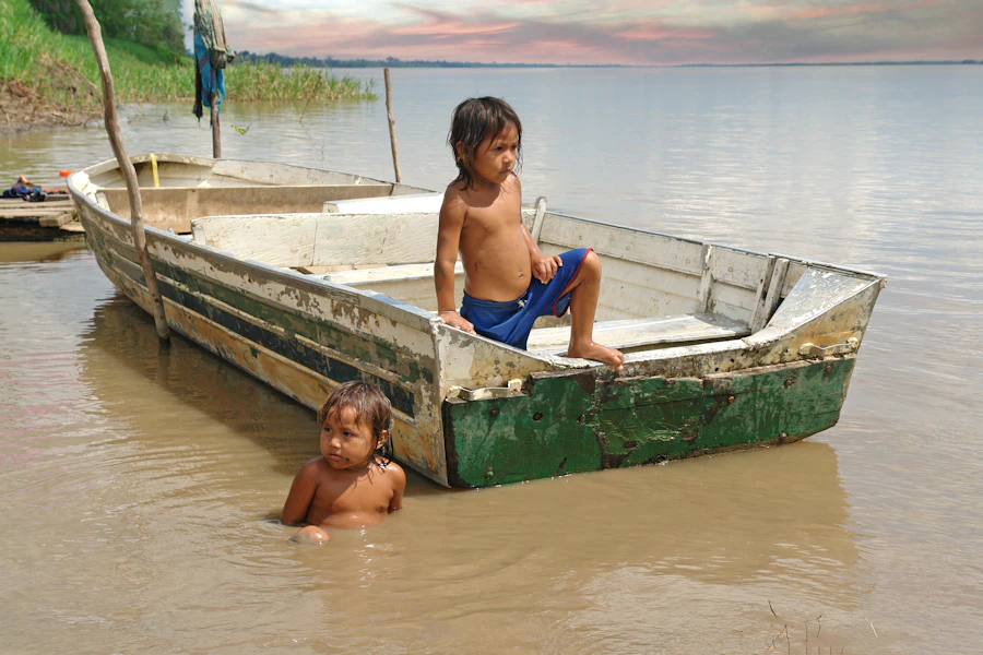 Bolivia: Madidi and the pampas