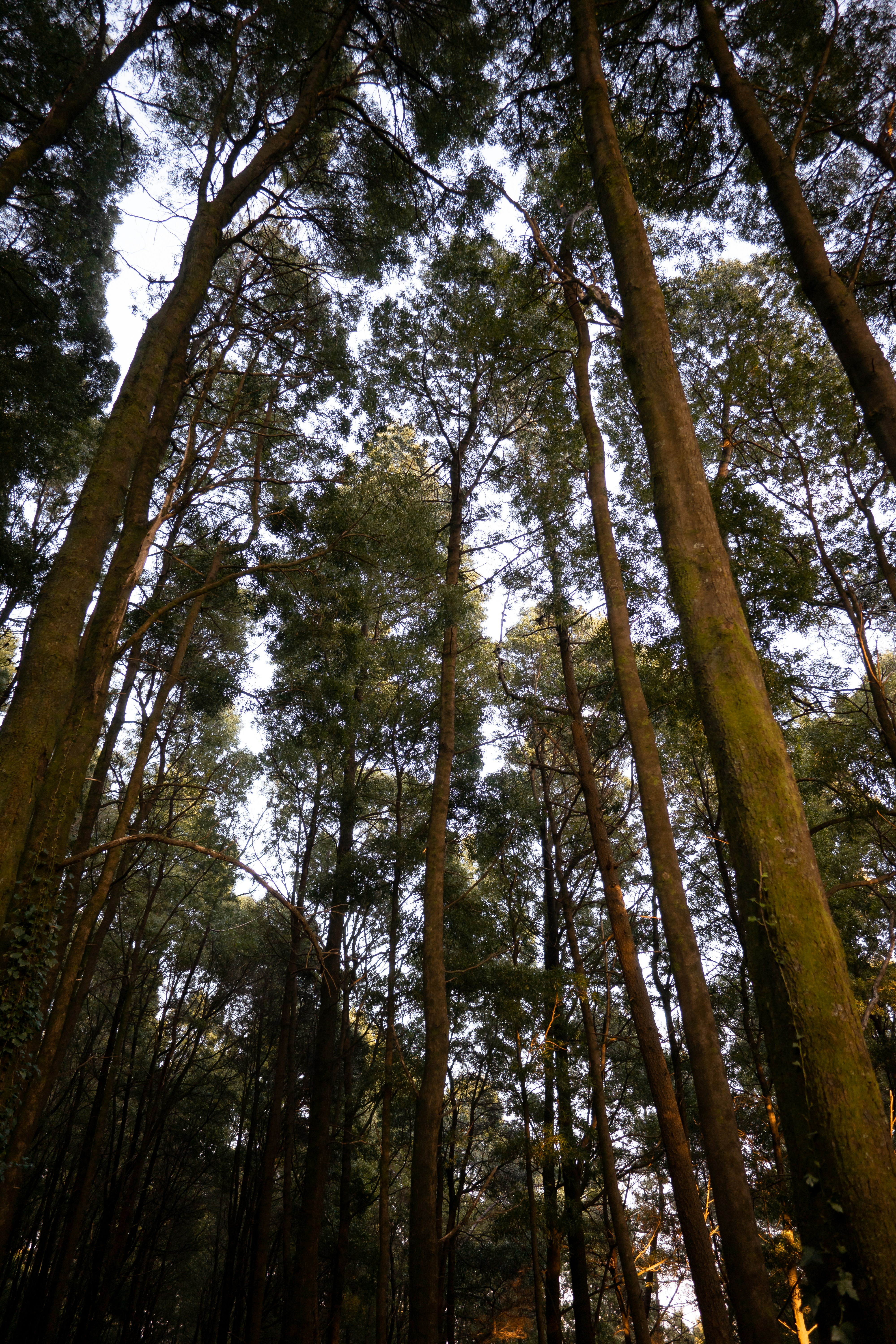 Photo by avidal_pics