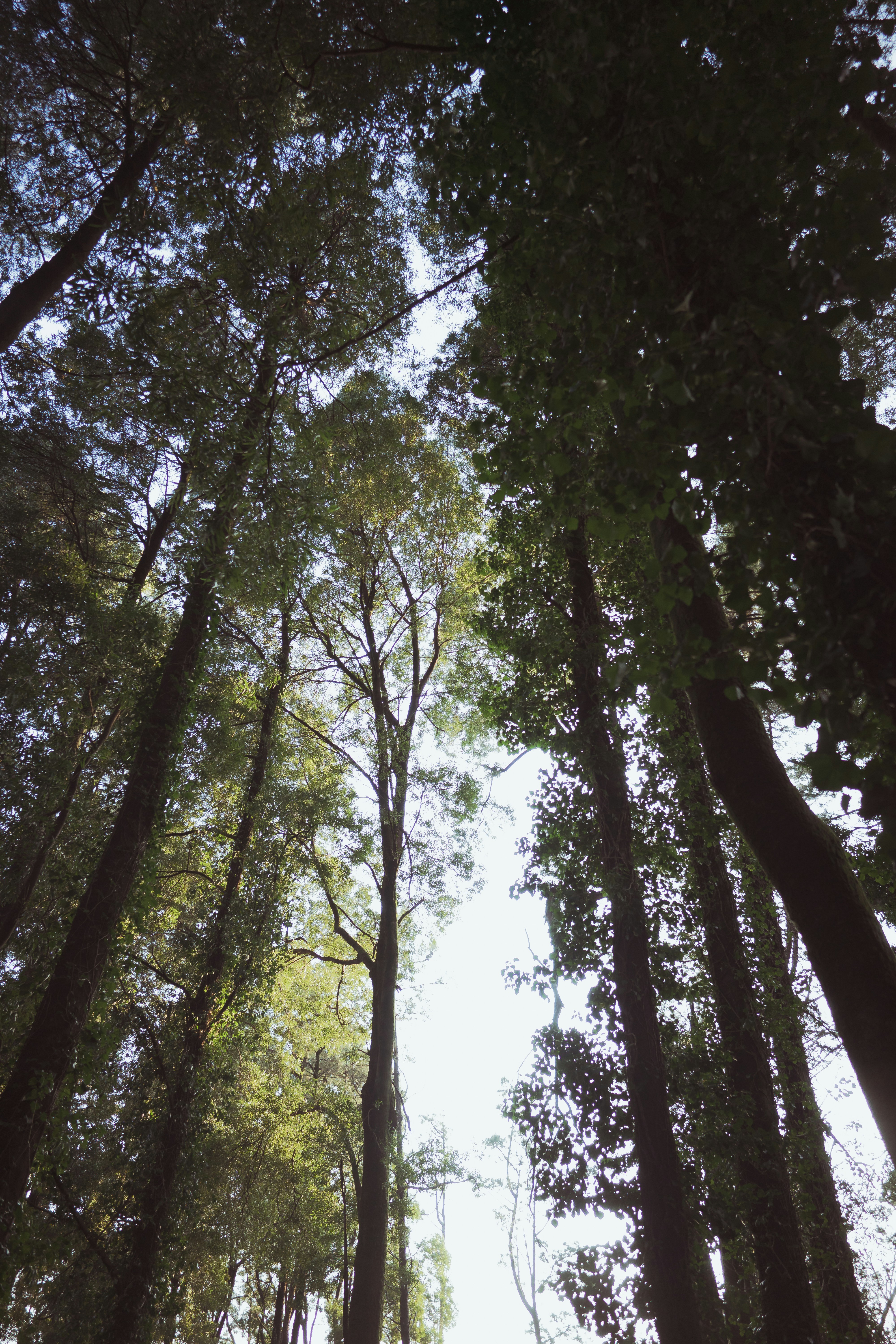 Photo by avidal_pics