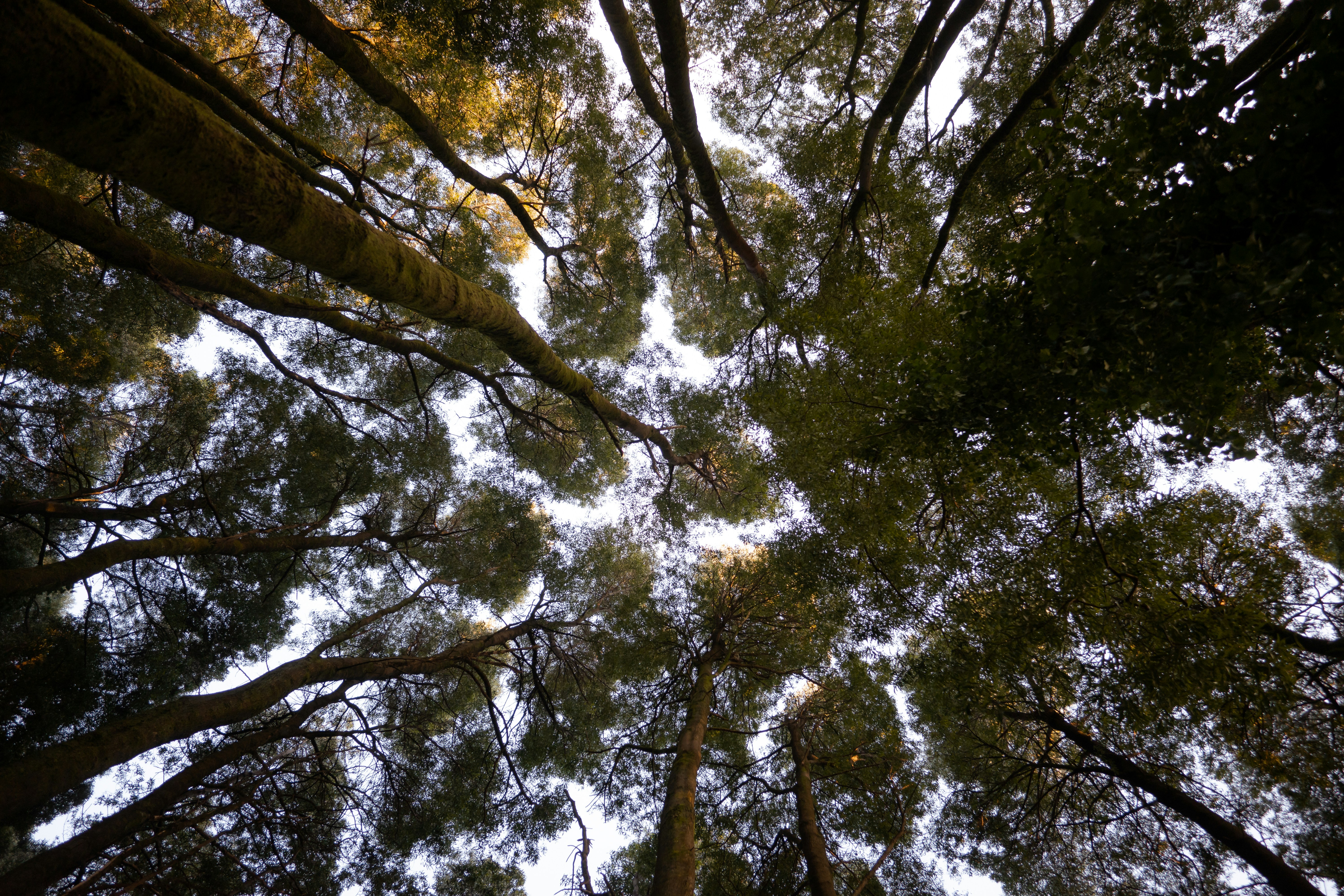 Photo by avidal_pics