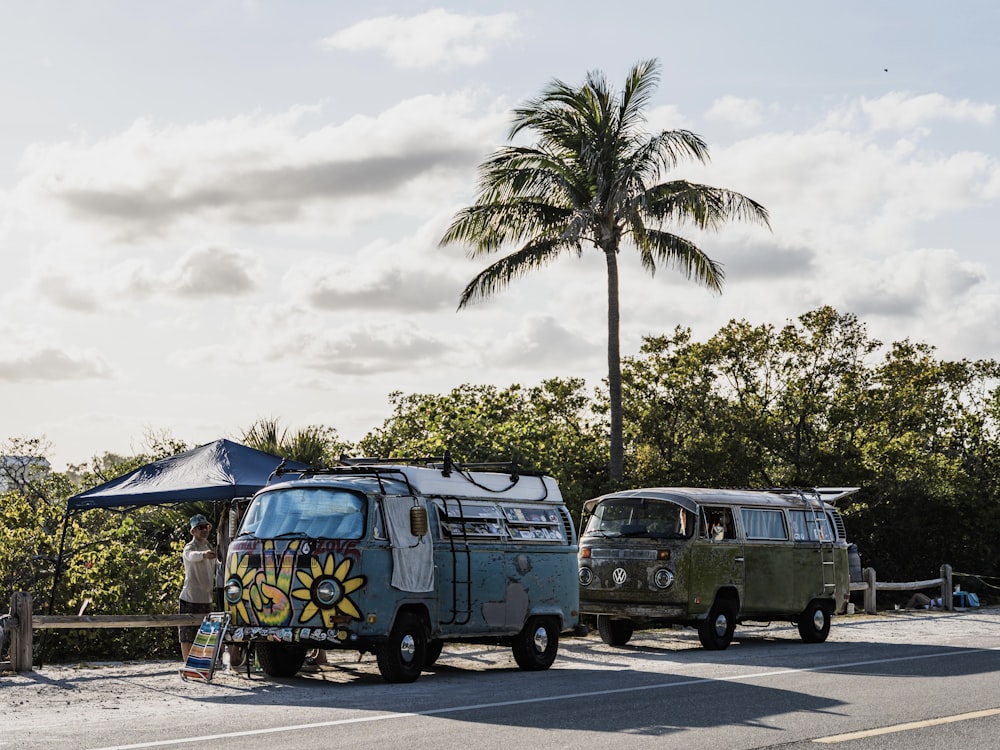 blue and white van near palm trees during daytime