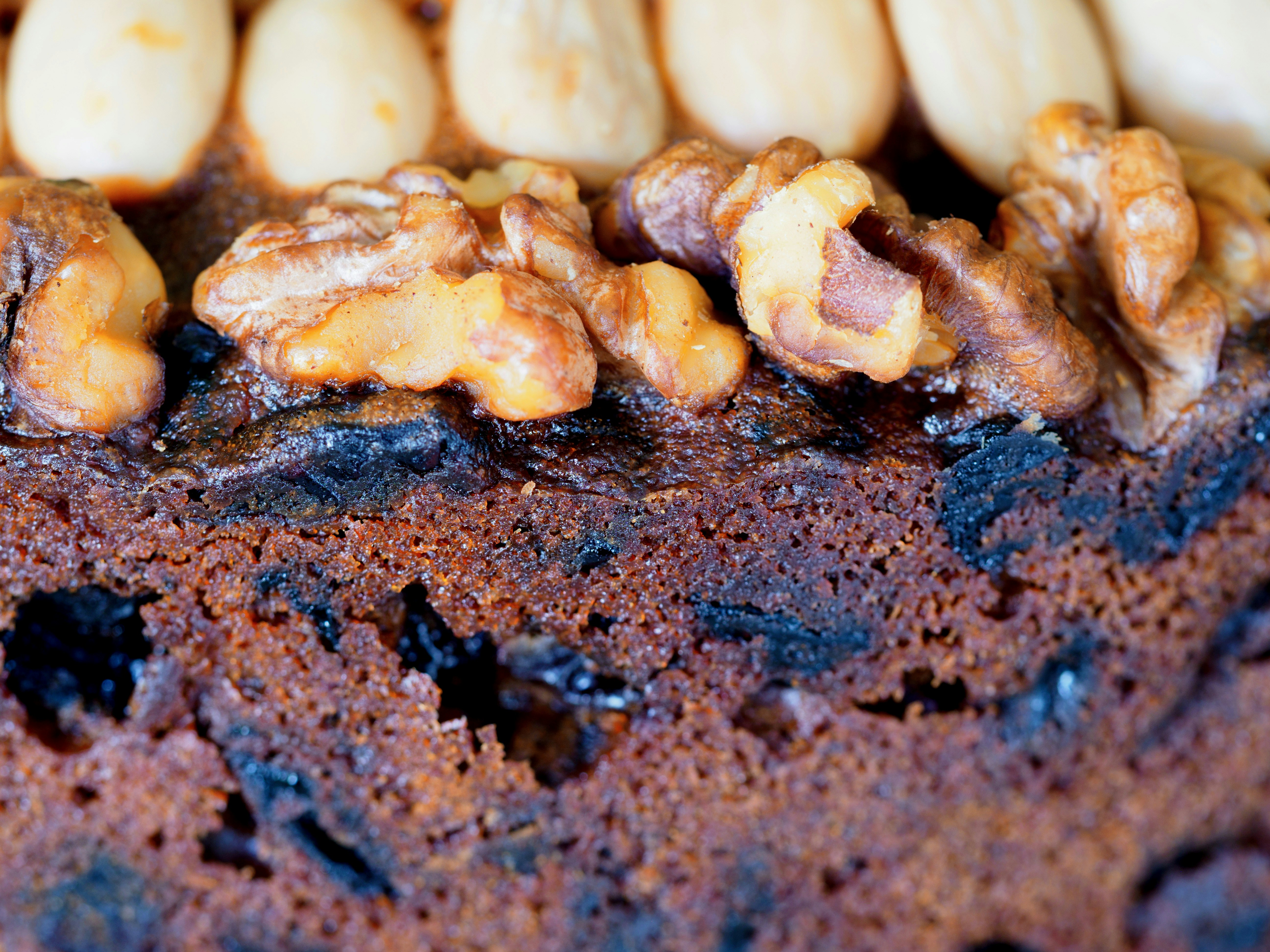 Photo by brett_jordan