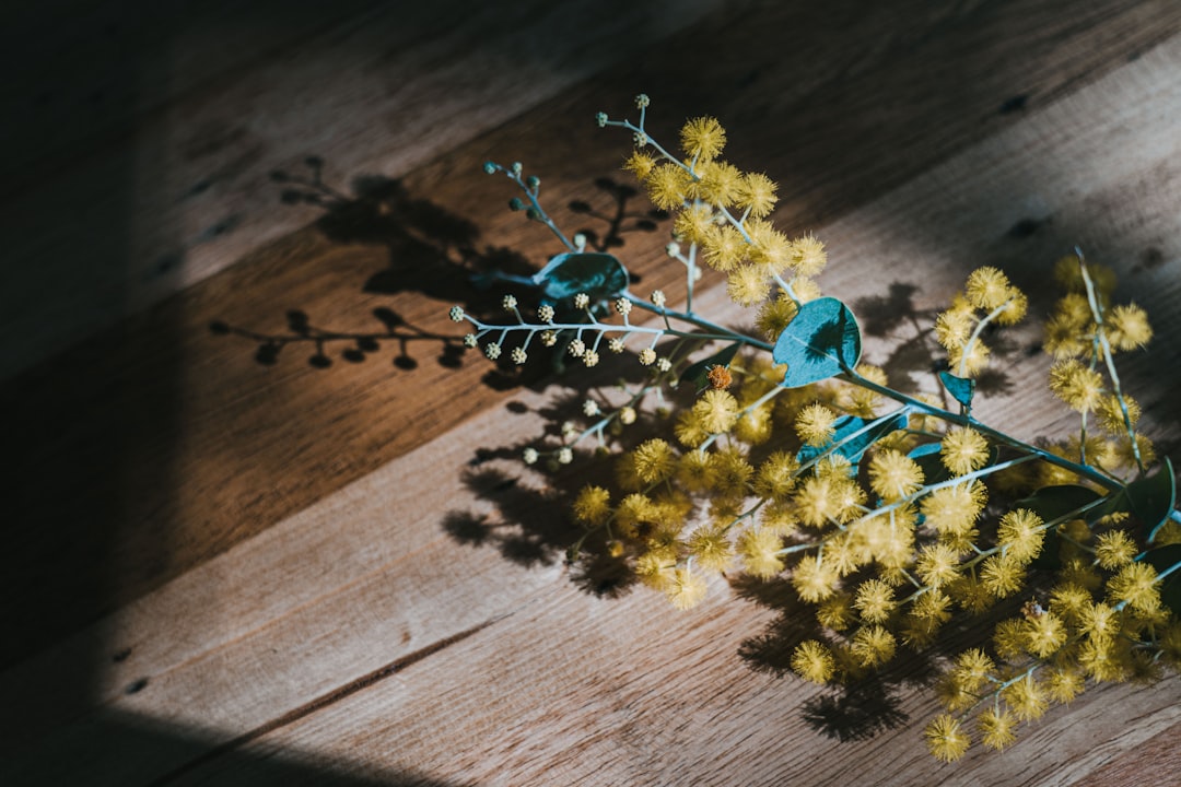 yellow and green flower on brown wooden table