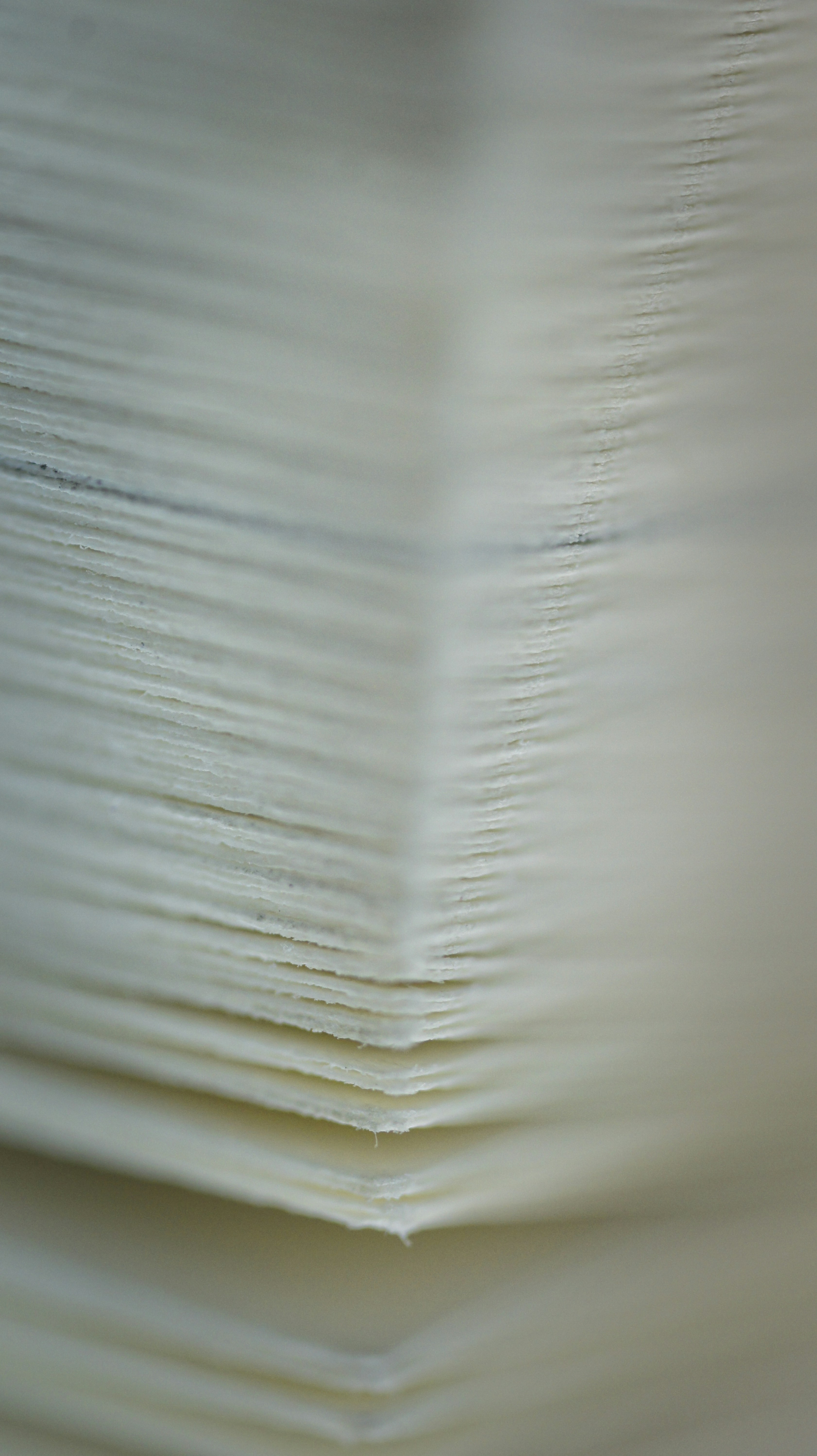 Photo by thomaskinto