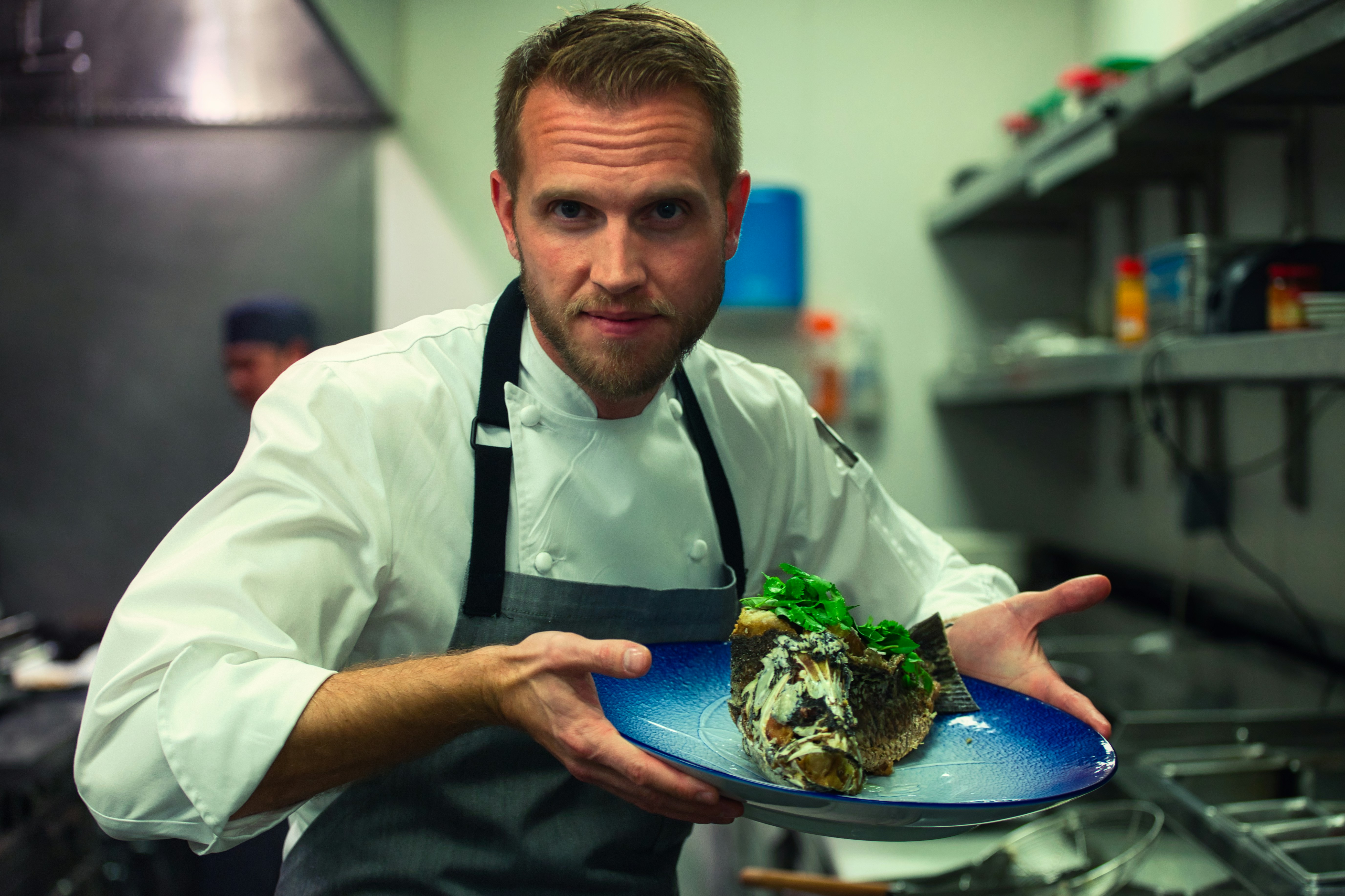 Freidora de aire sin aceite, Freidora de aire sin aceite, AirFryer familiar  5.5L de 1400 W con pantalla táctil LED | BronKitchen©, opinoenes