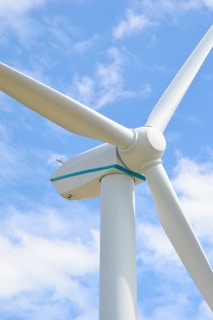 white and gray bird on white metal stand under blue sky during daytime