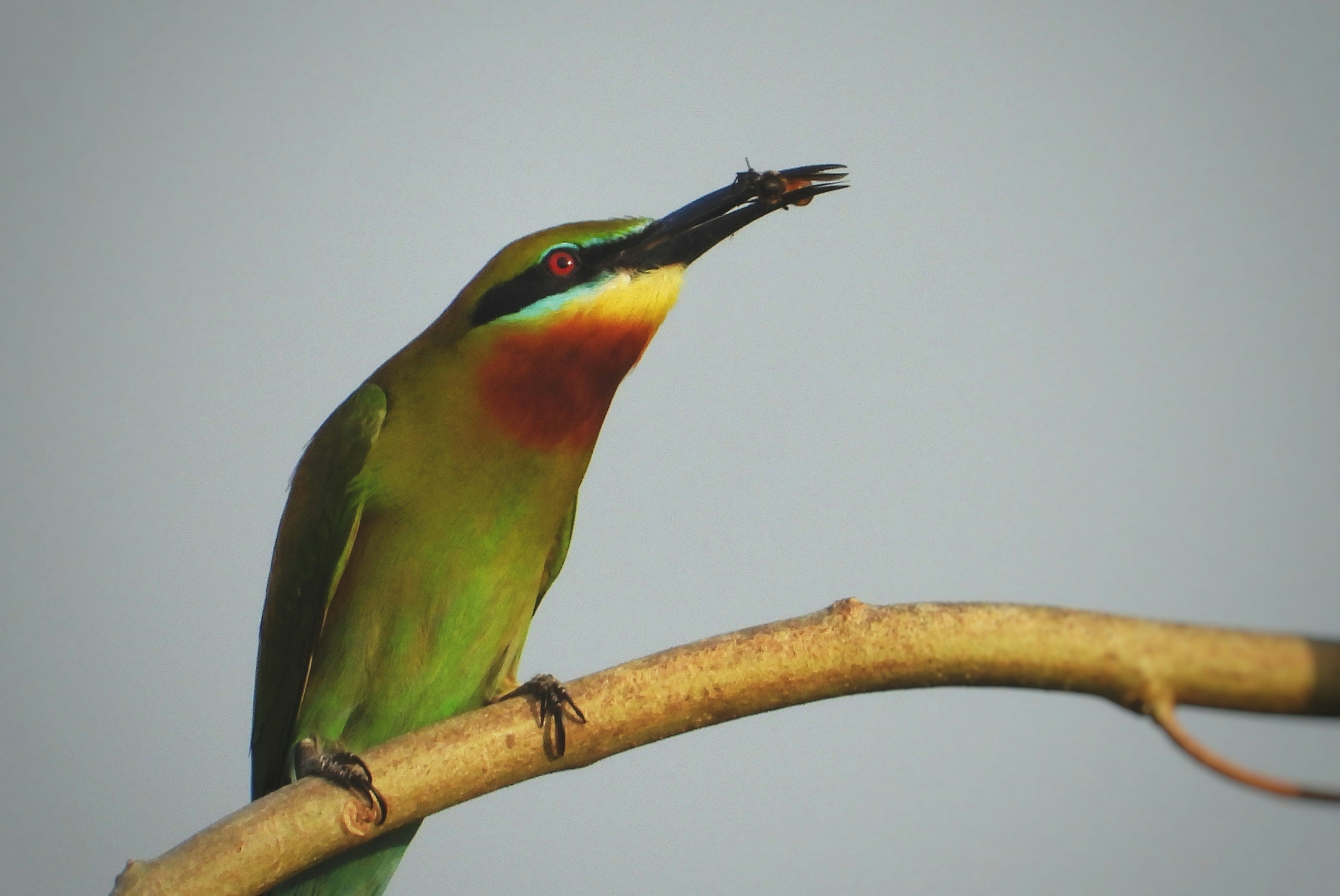 Photo by mooncolonytn60