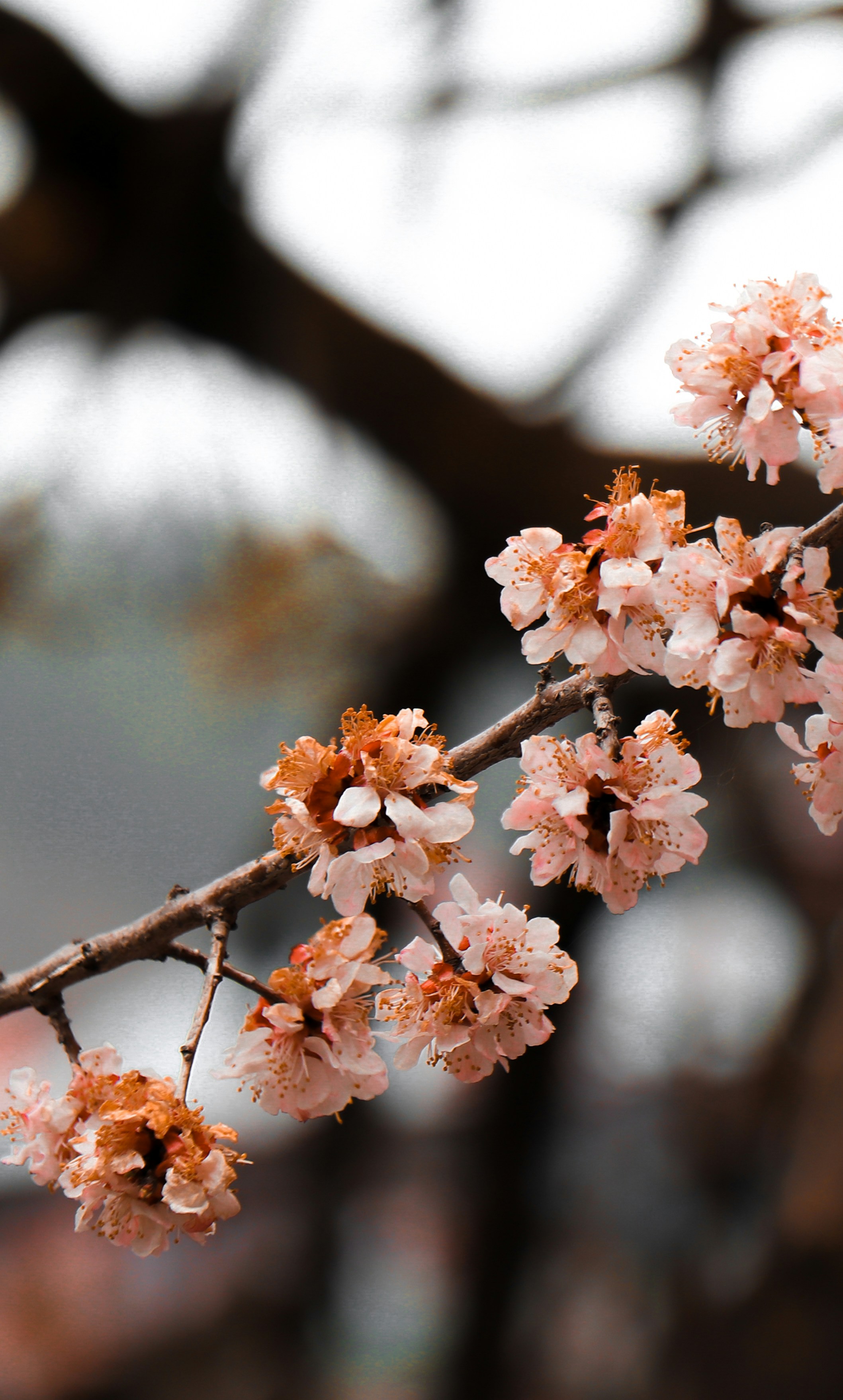 Photo by gauravburange