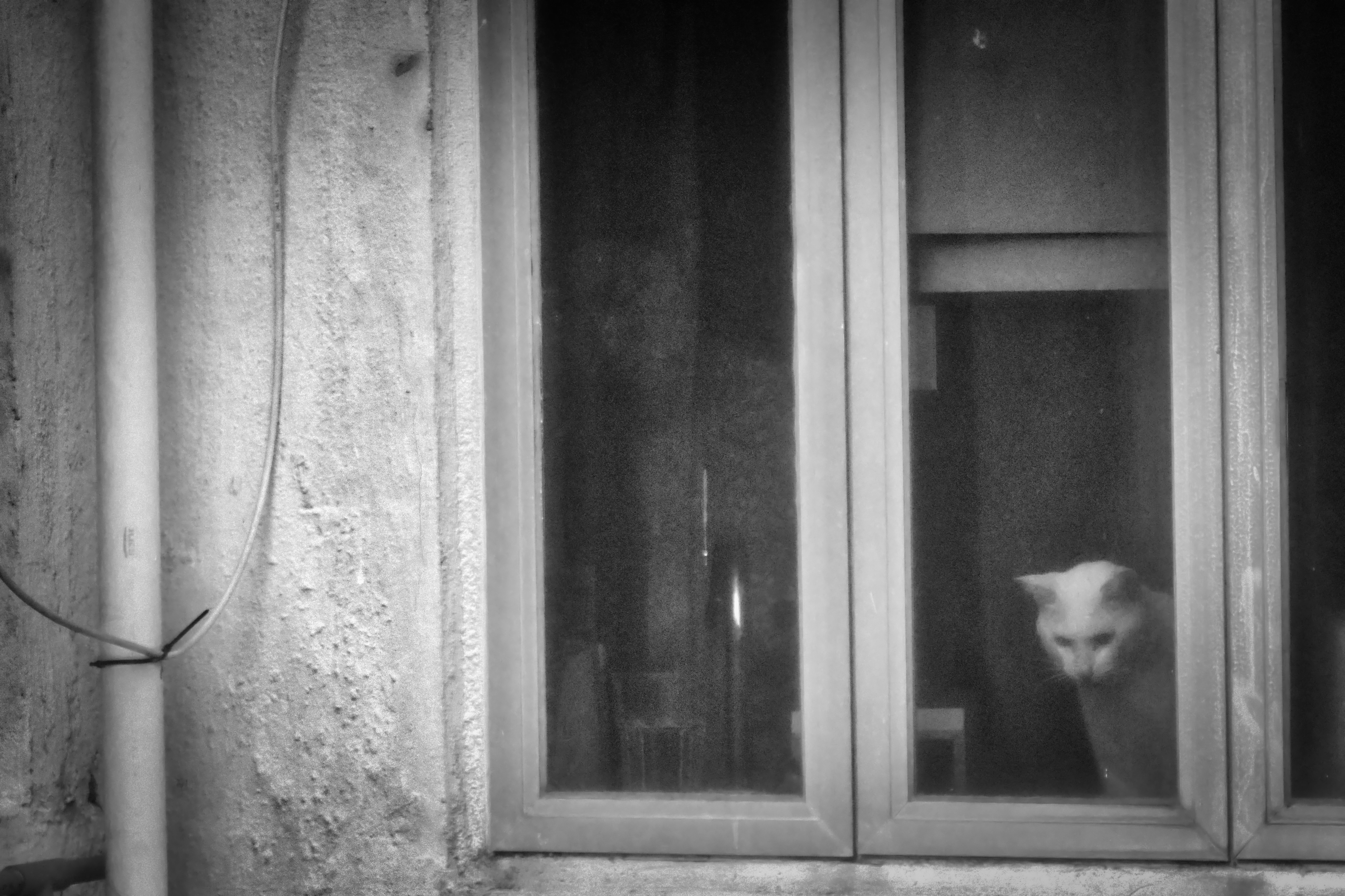 Photo by thomaskinto