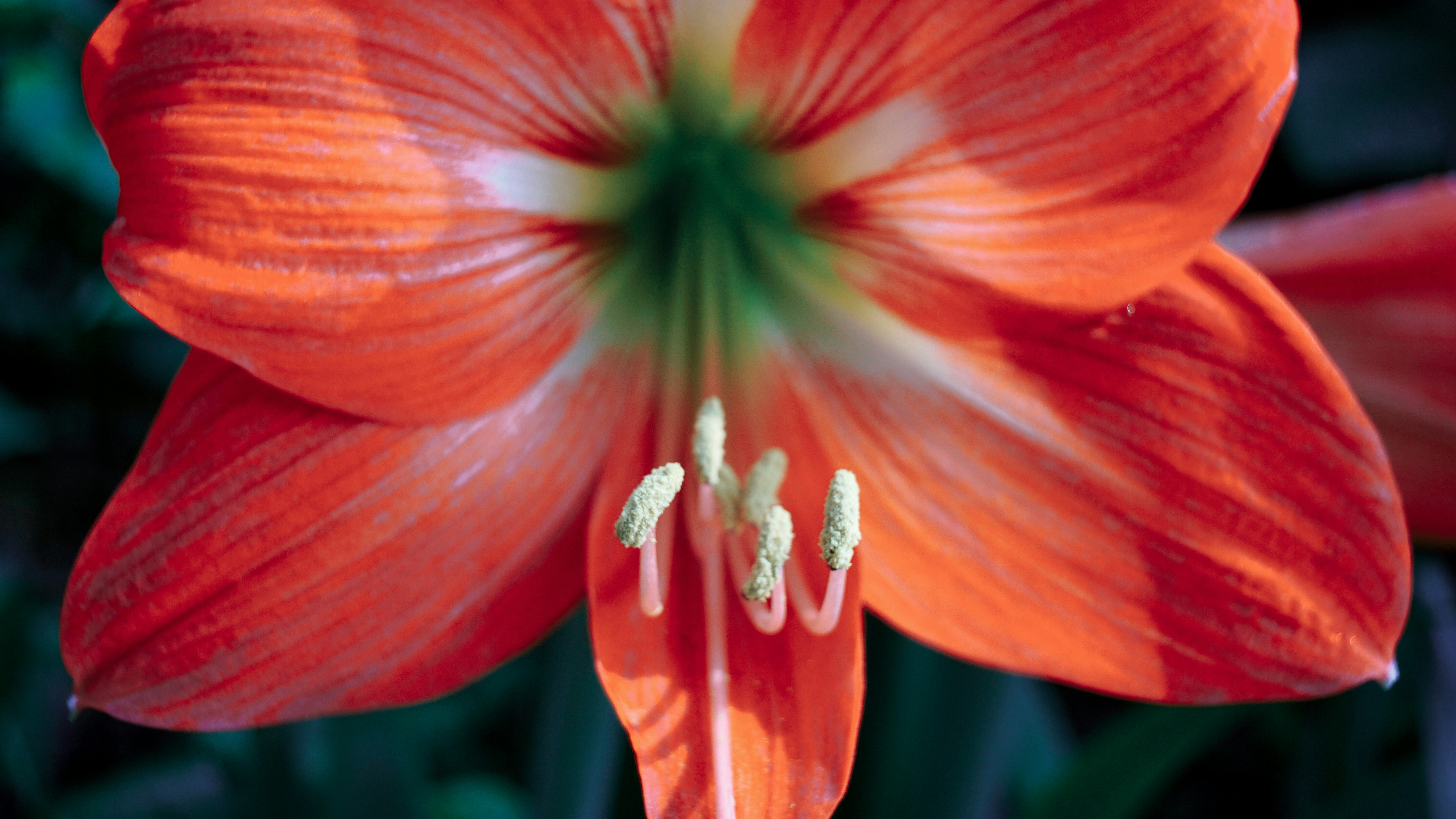 Photo by thomaskinto