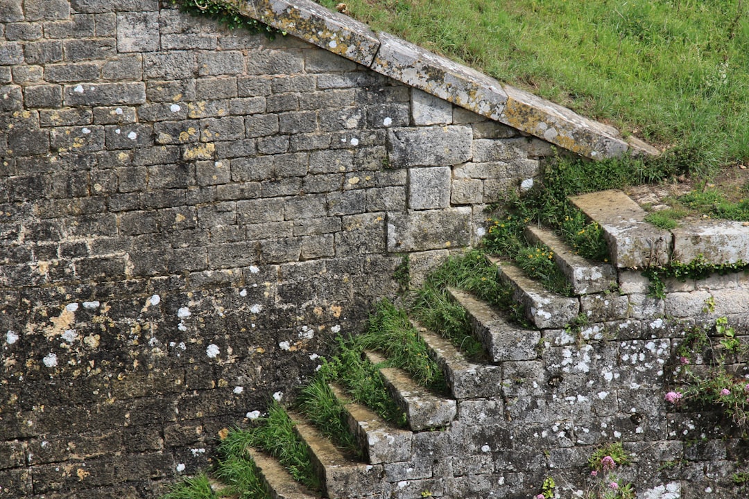 grey brick wall with green grass