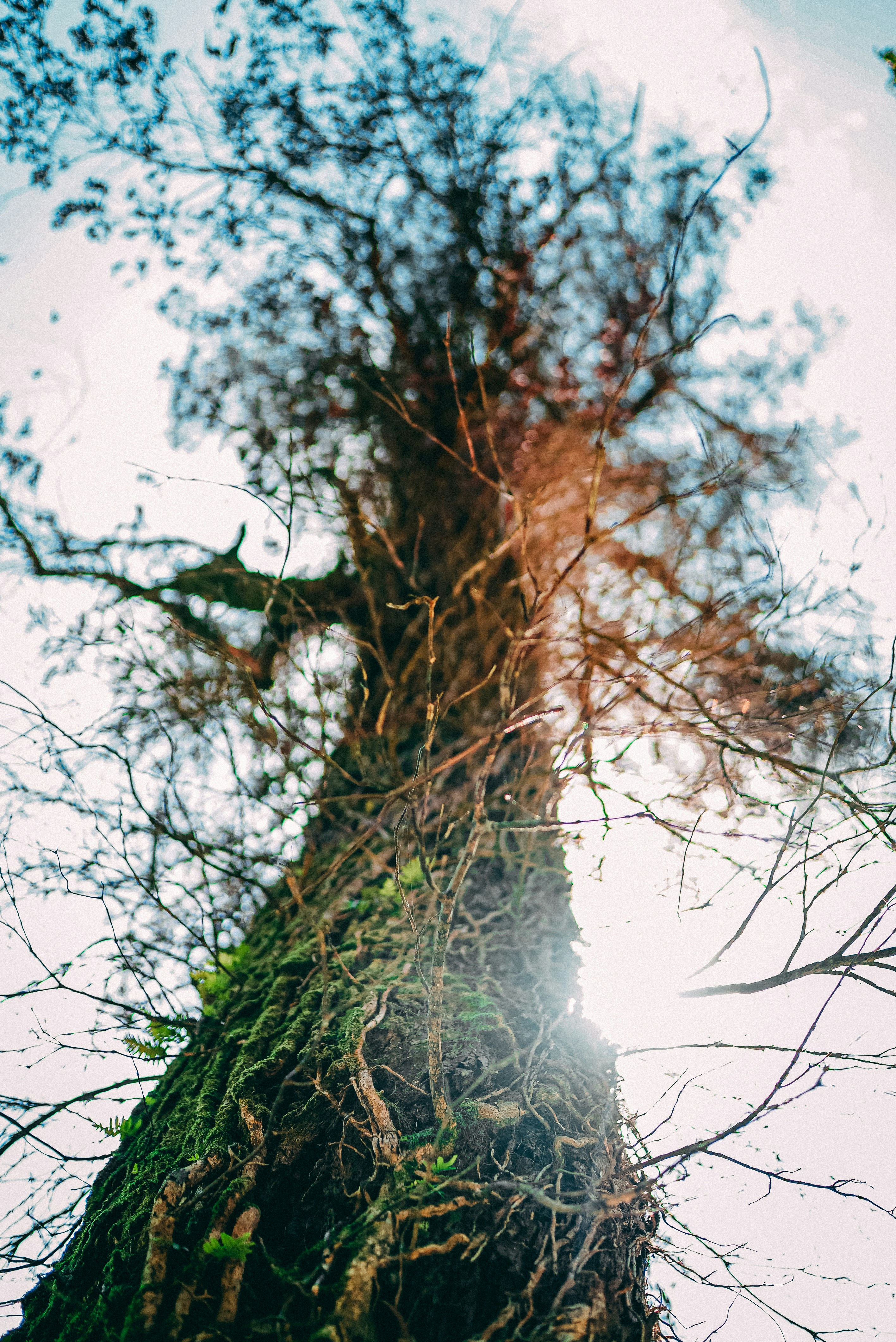 Photo by creative_films