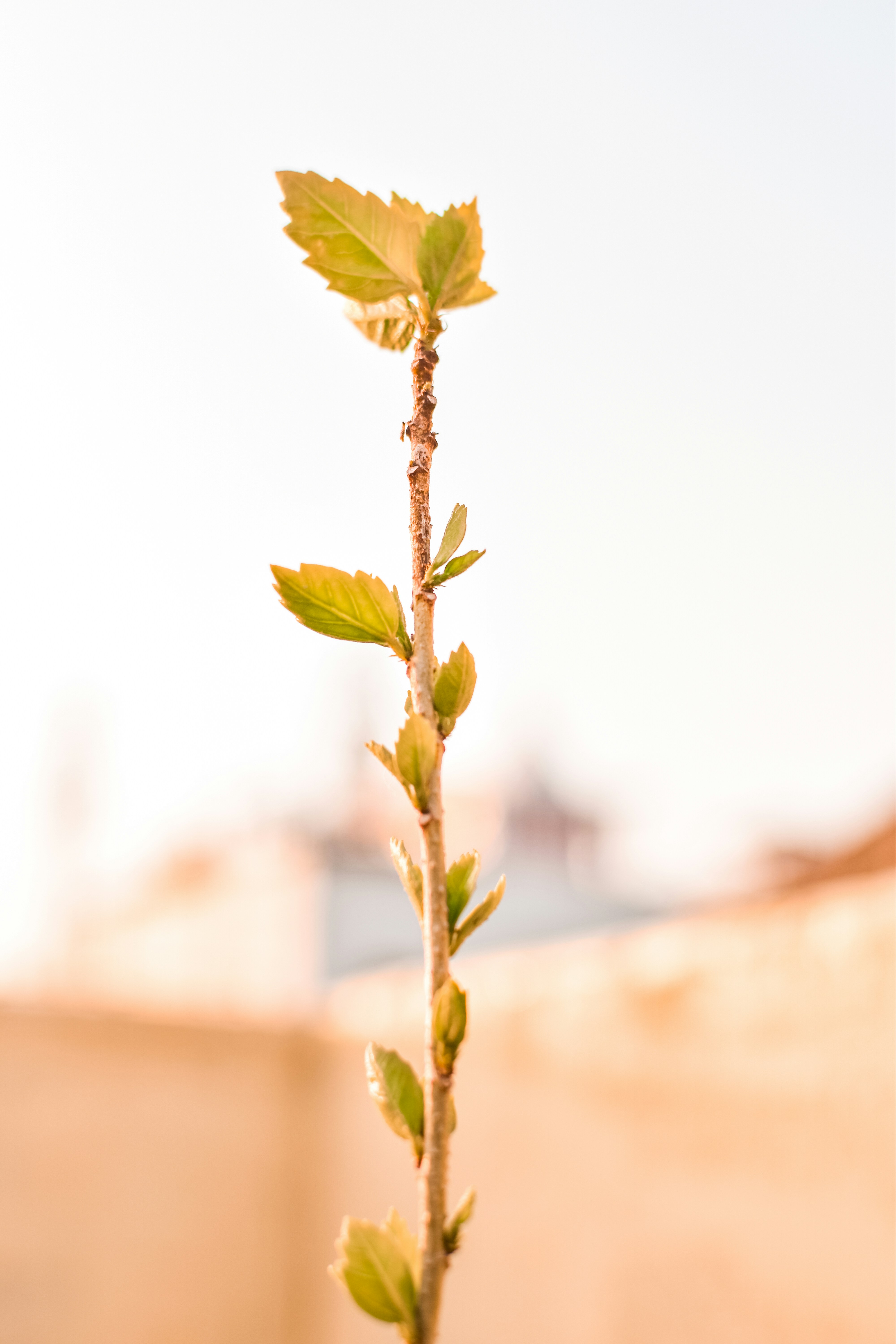 Photo by ranjanaphotography