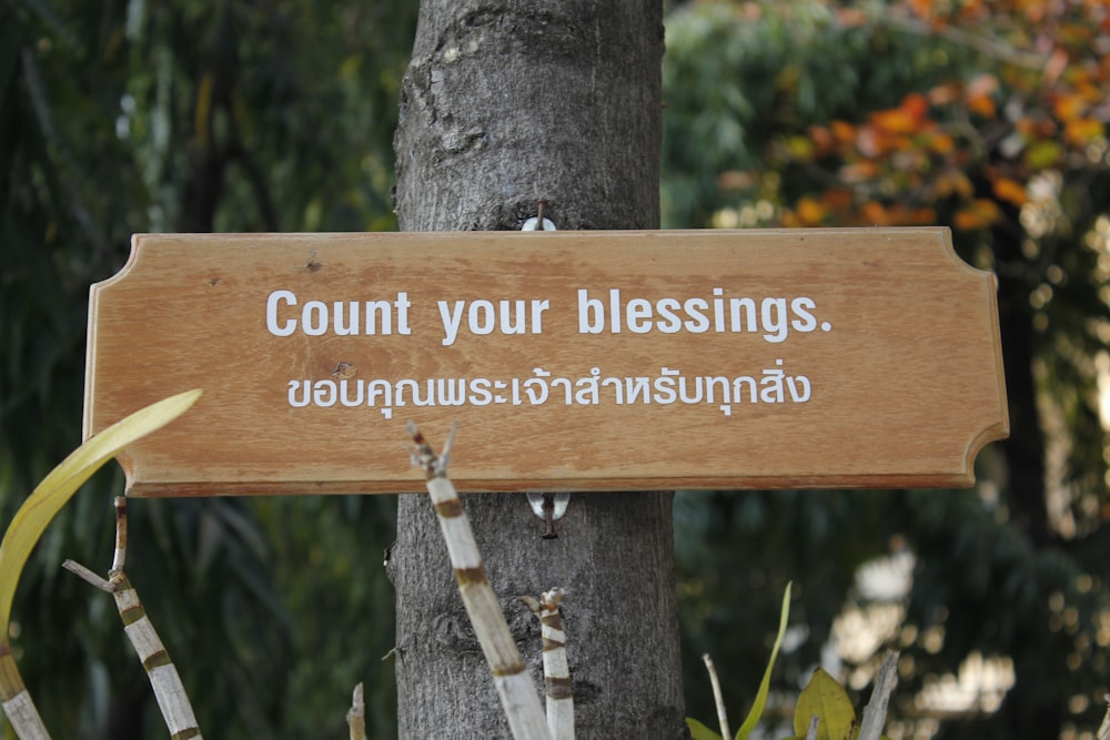 brown wooden signage on brown wooden post