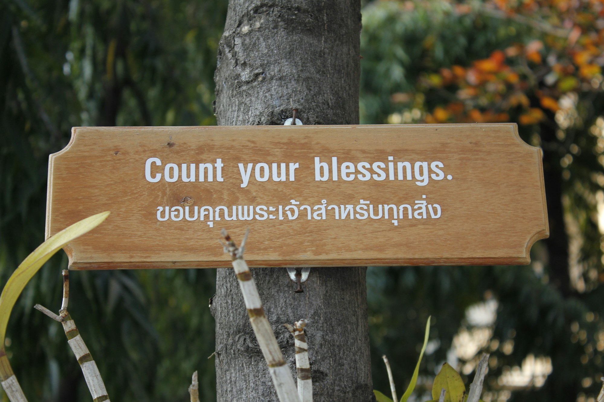 Nakhon Ratchasima Travel Guide