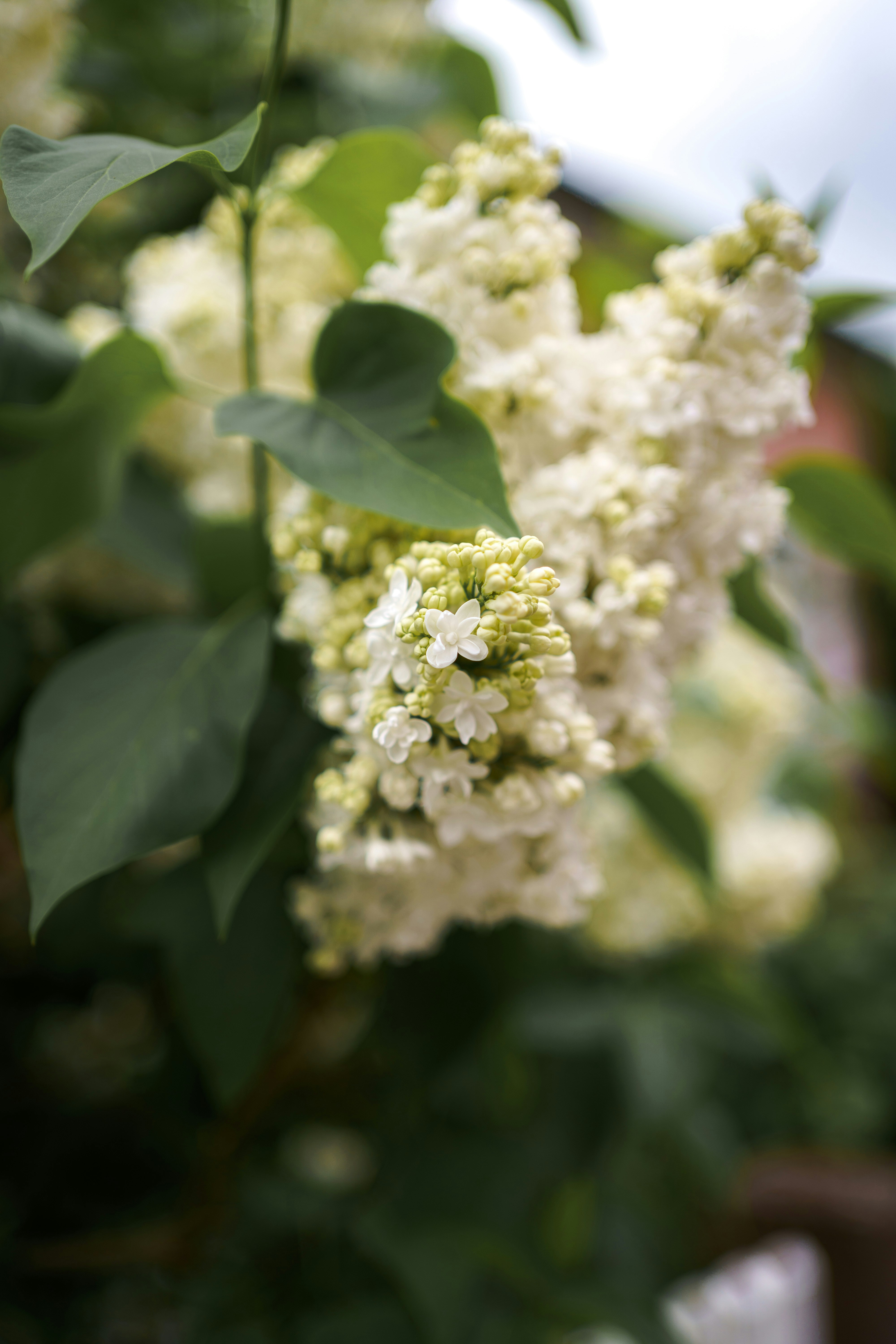 Photo by samuelbryngelsson