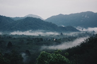 A scenic view of the lush Rwandan landscape with misty mountains in the background.