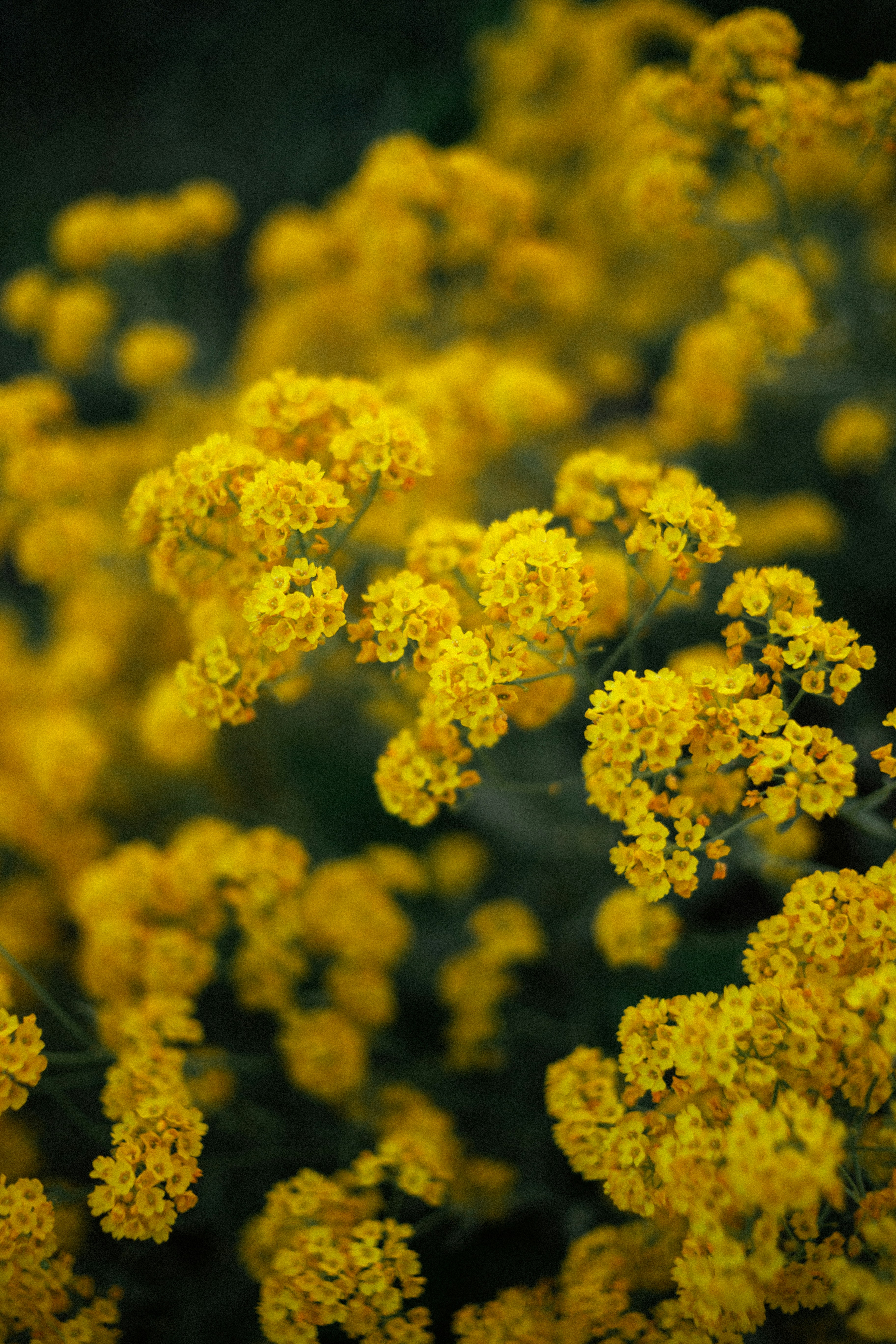 photo-1622110088627-d1b20377fdd2?ixid=M3wxMjA3fDB8MXxzZWFyY2h8MTIxfHwlRDAlQjUlRDAlQjQlRDAlQjglRDAlQkQlRDAlQjAlRDElOEYlMjAlRDElODIlRDAlQjAlRDElODAlRDAlQjglRDElODQlRDAlQkQlRDAlQjAlRDElOEYlMjAlRDElODElRDAlQjUlRDElODIlRDAlQkElRDAlQjAlMjAlRDElODMlRDAlQkElRDElODAlRDAlQjAlRDAlQjglRDAlQkQlRDAlQjAlMjAyMDIzfGVufDB8fHx8MTczMzM5Nzk0NXww%5Cu0026ixlib=rb-4.0.3