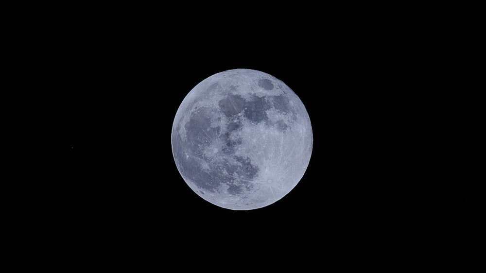 full moon on white background