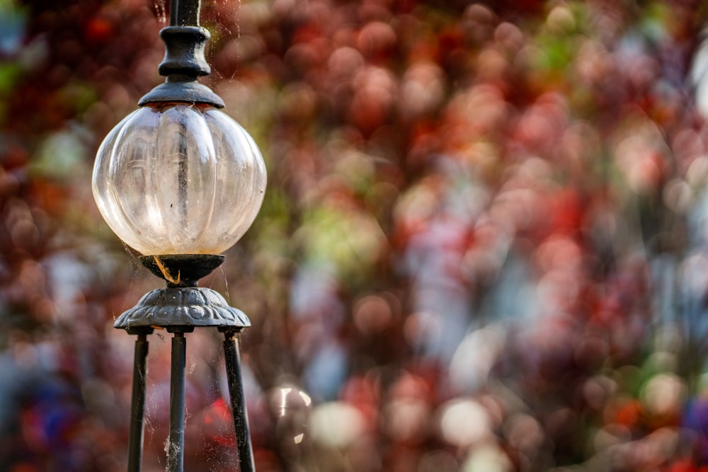 selective focus photography of light bulb