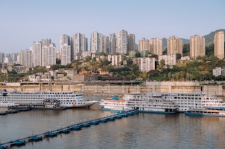 Cruise ships docked along a river with a backdrop of a densely populated cityscape featuring numerous high-rise buildings. Trees and greenery are interspersed among the buildings, and a concrete embankment separates the urban area from the water.