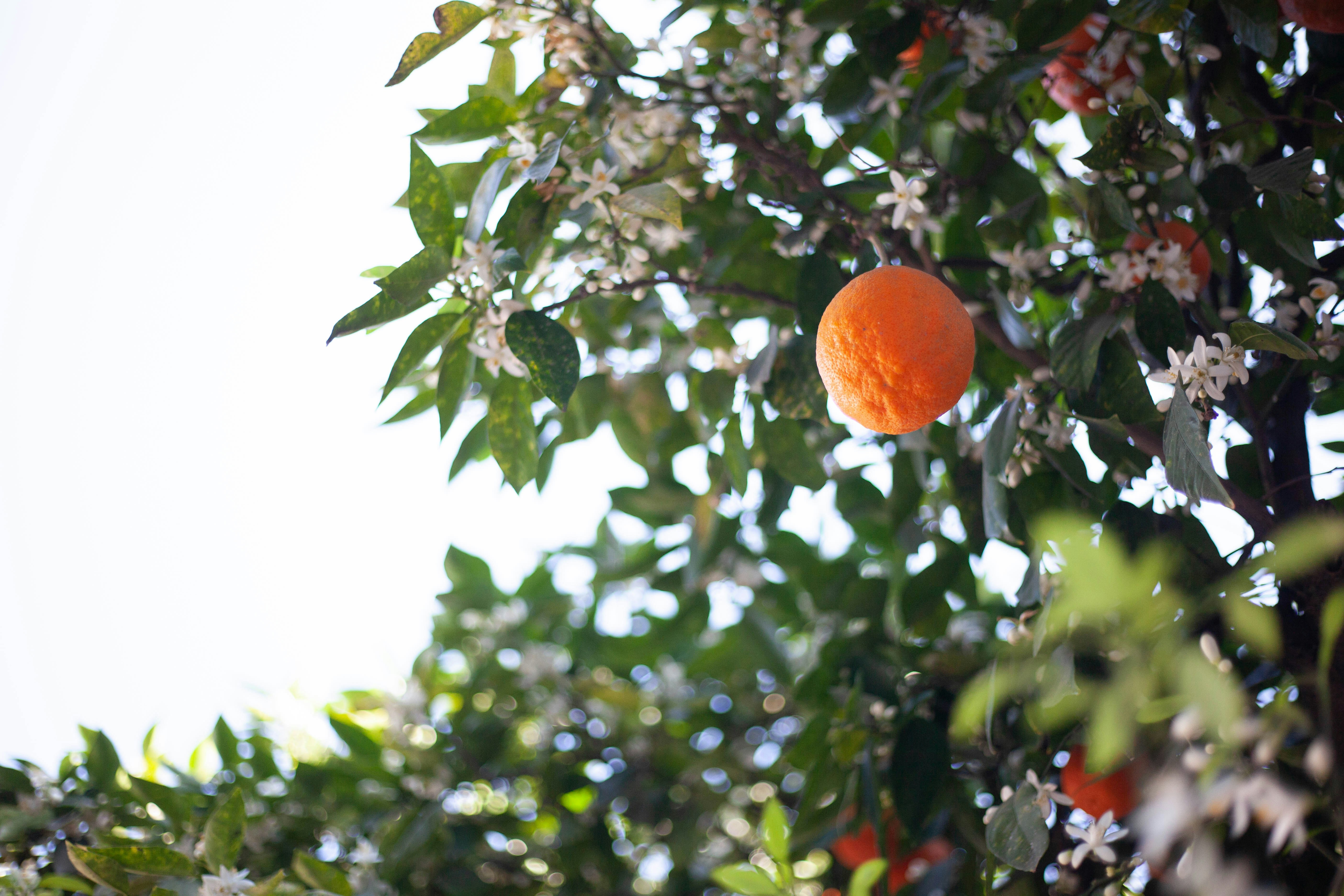 Photo by candegrafias