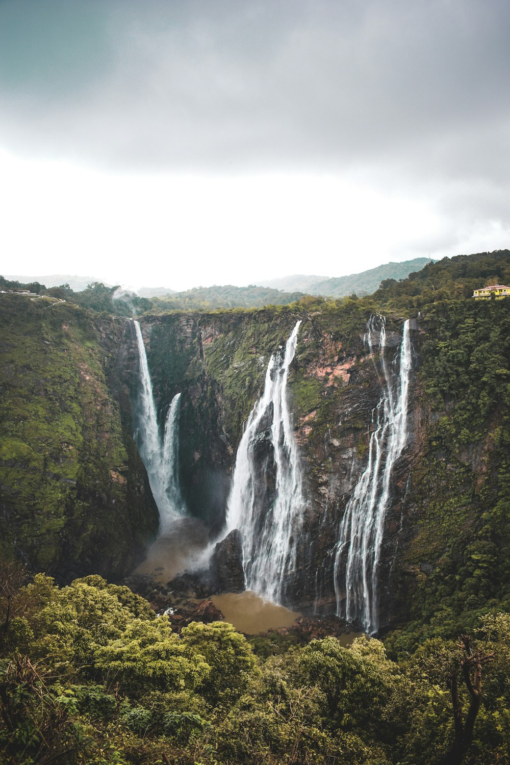 waterfalls in the middle of green trees