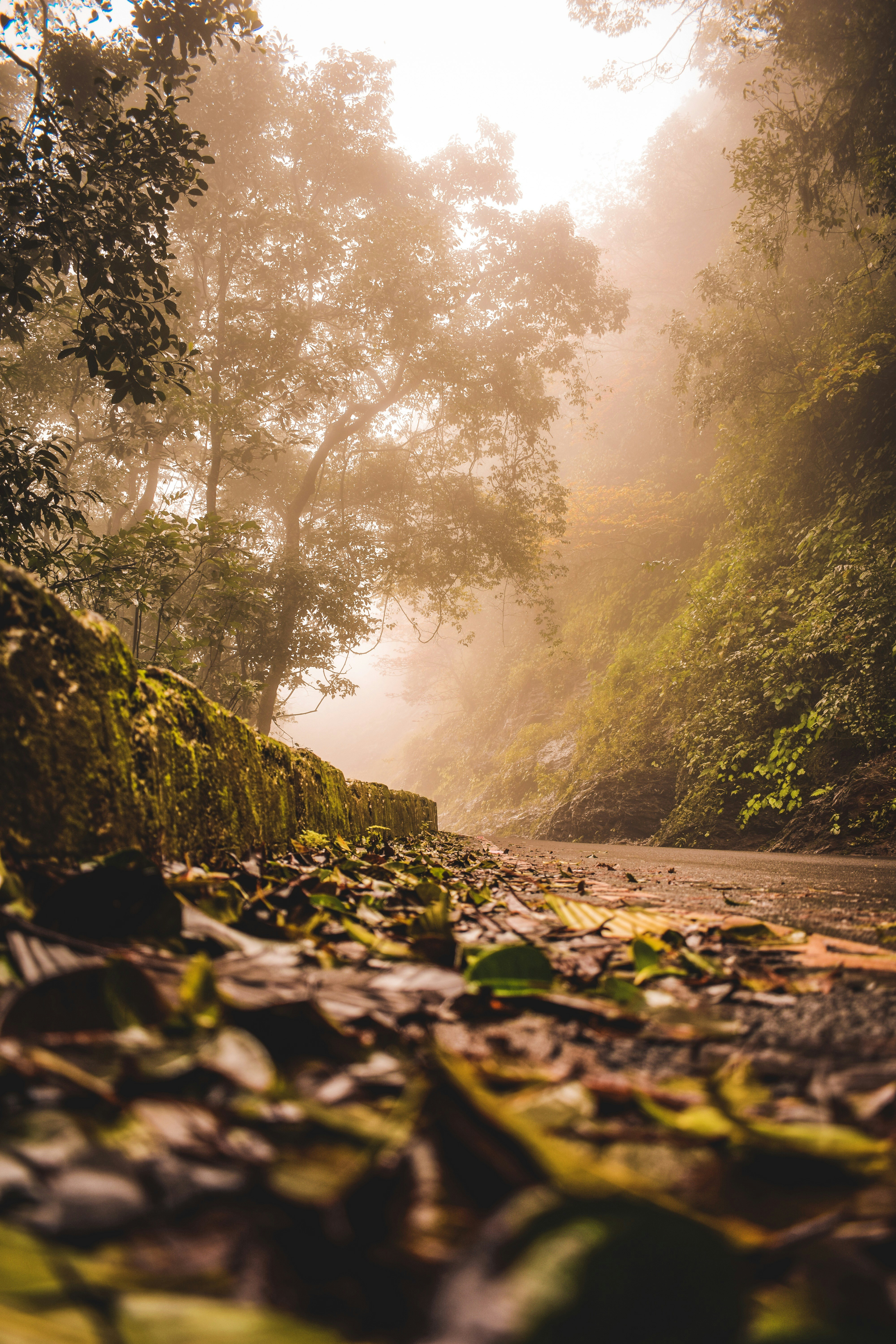 Photo by its_arunprakash