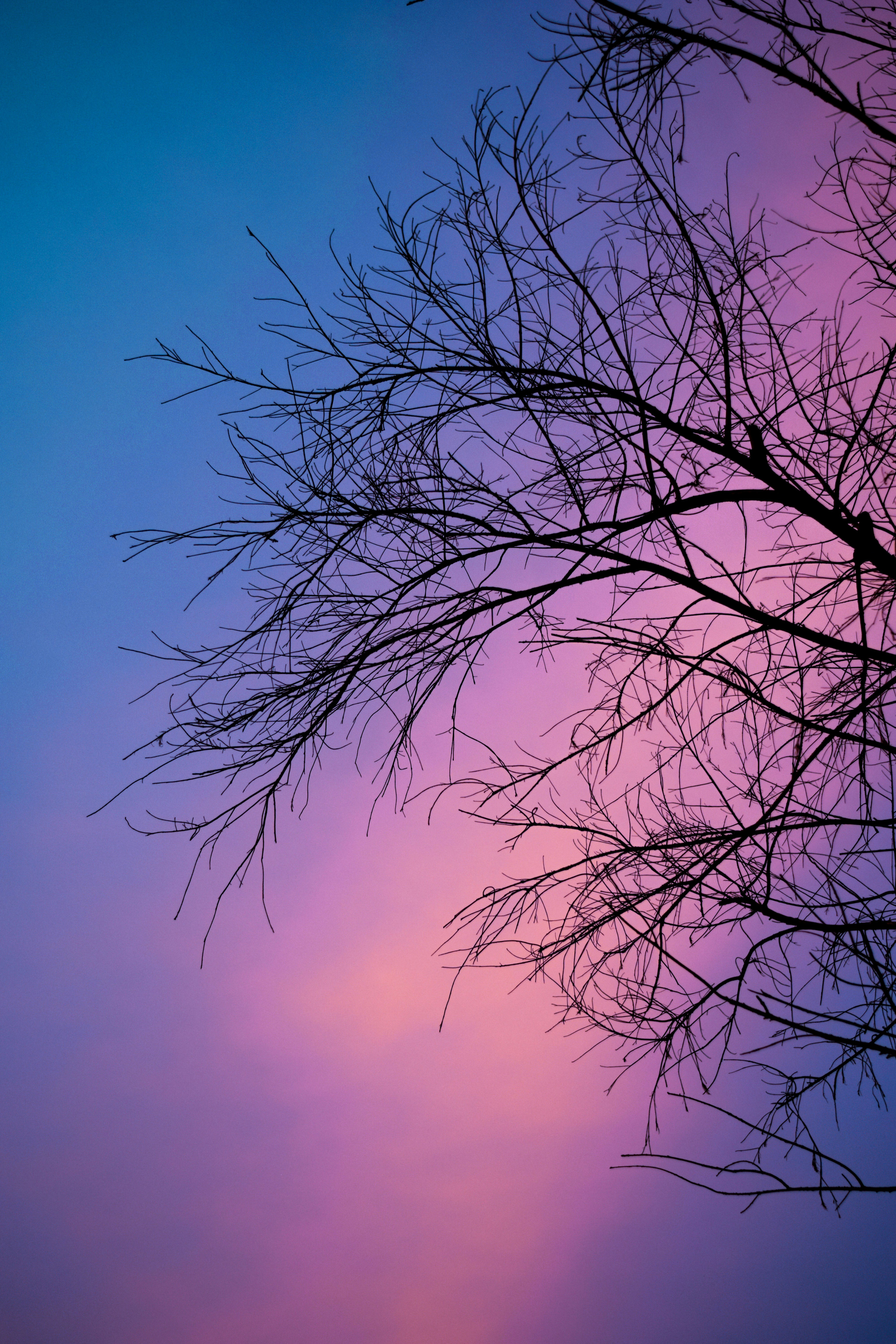 Photo by its_arunprakash