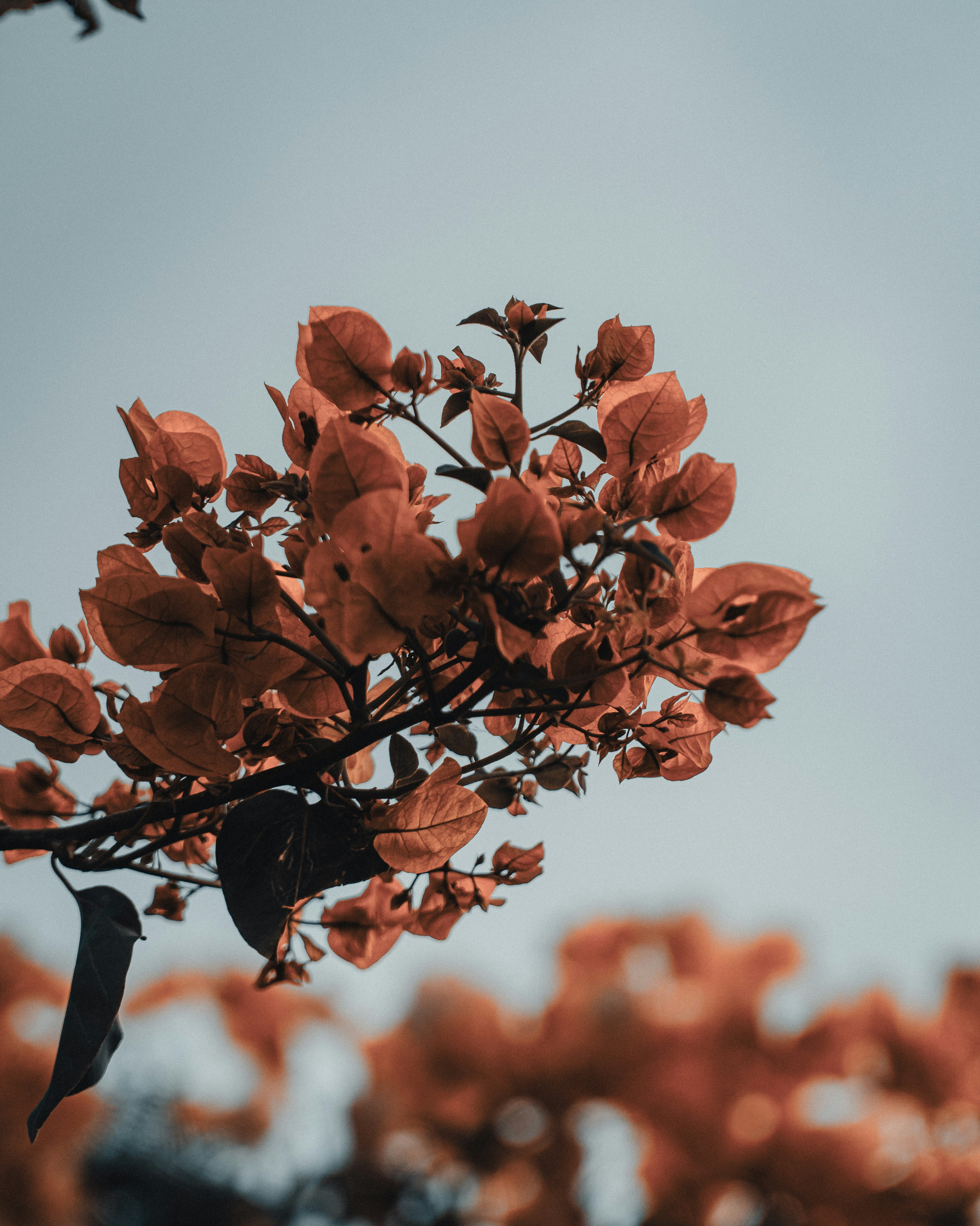 Photo by its_arunprakash