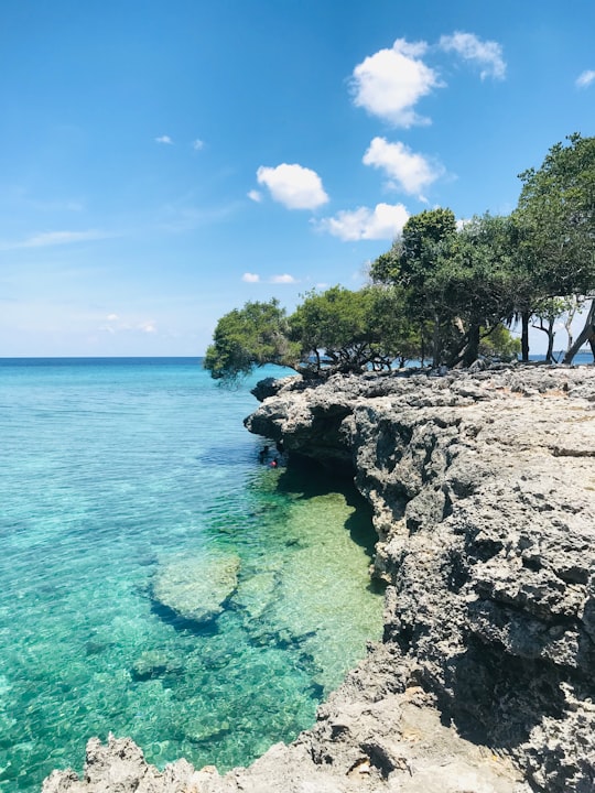 green trees on gray rock formation near body of water during daytime in Pulau Selayar Indonesia