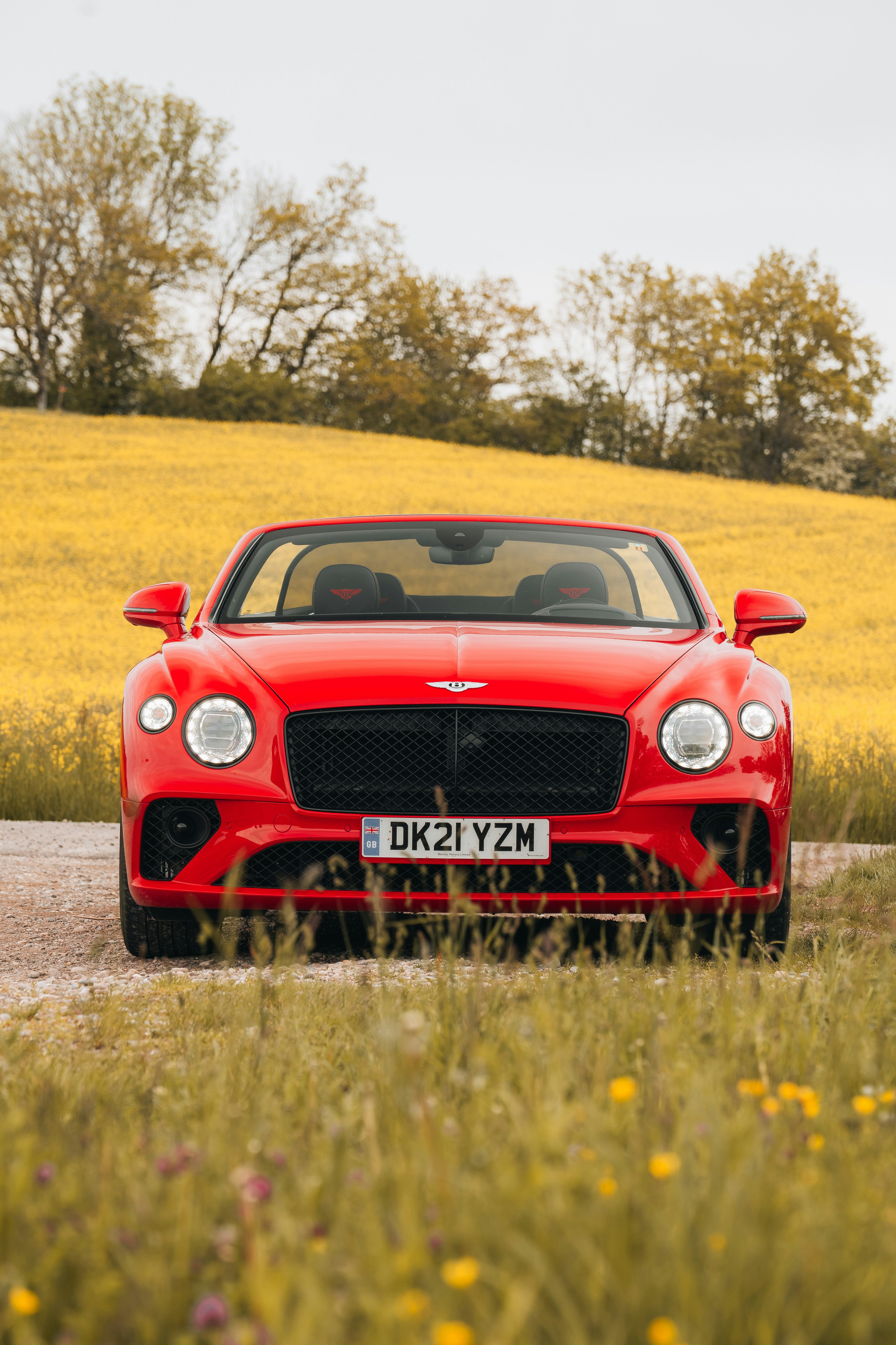 Photo by jonasrhyner